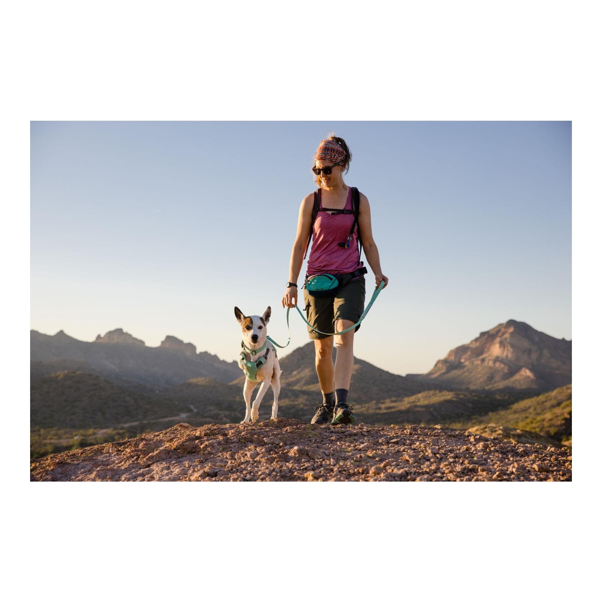 Swamp Cooler™ Geschirr