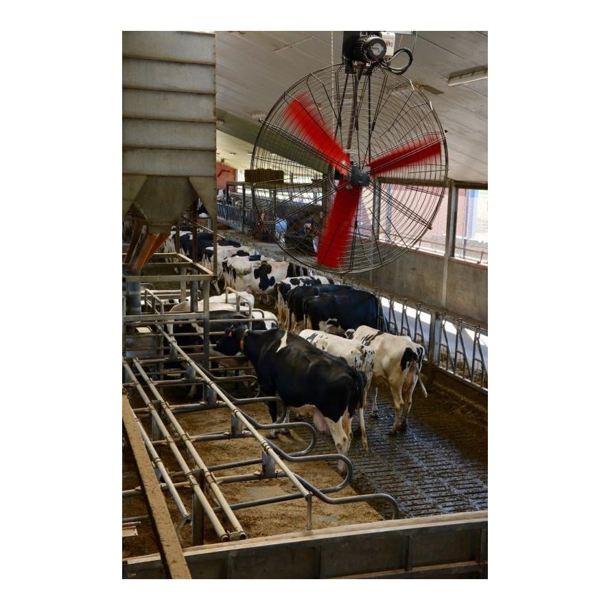 Korbventilator 230 V