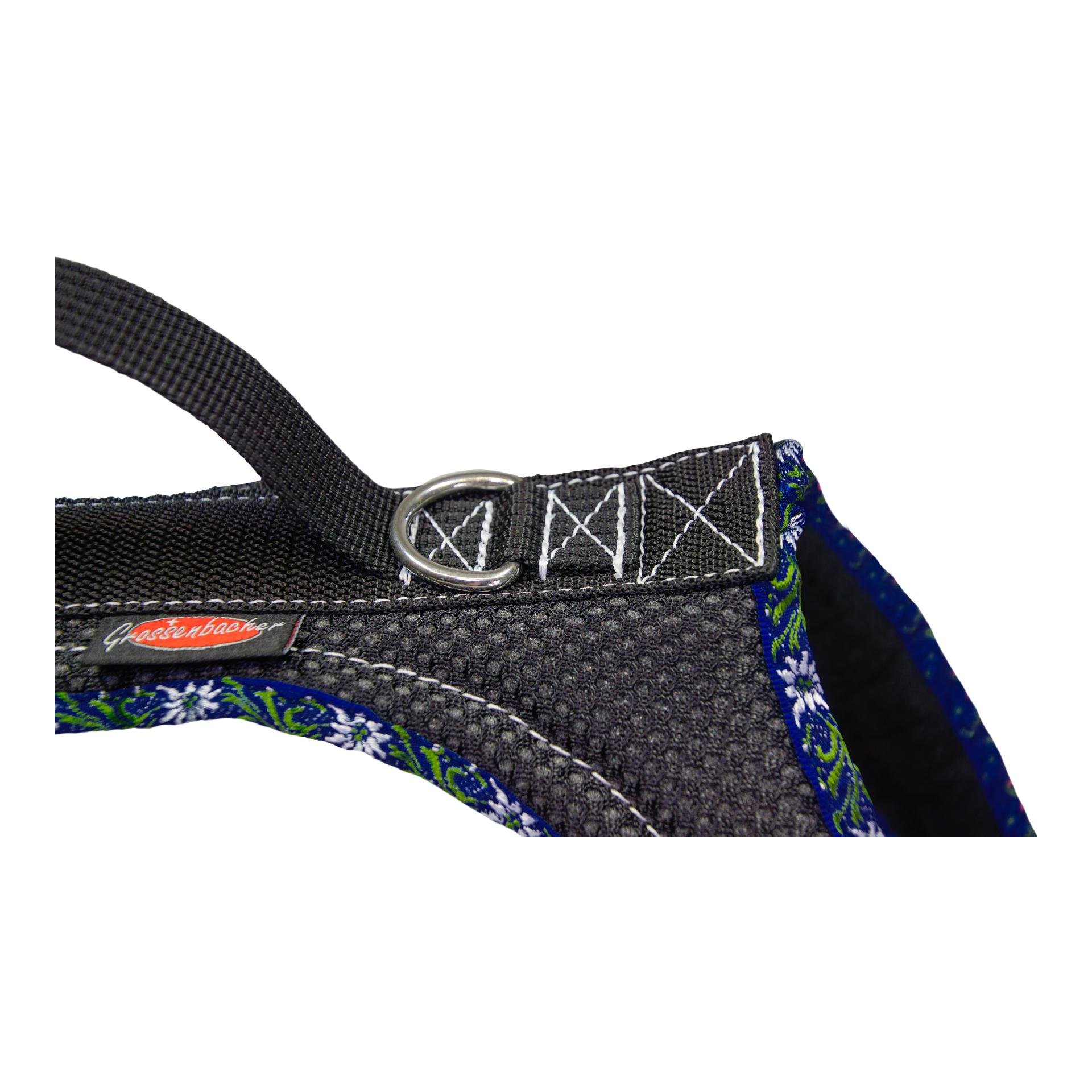 Dogs Fun Run Hundegeschirr