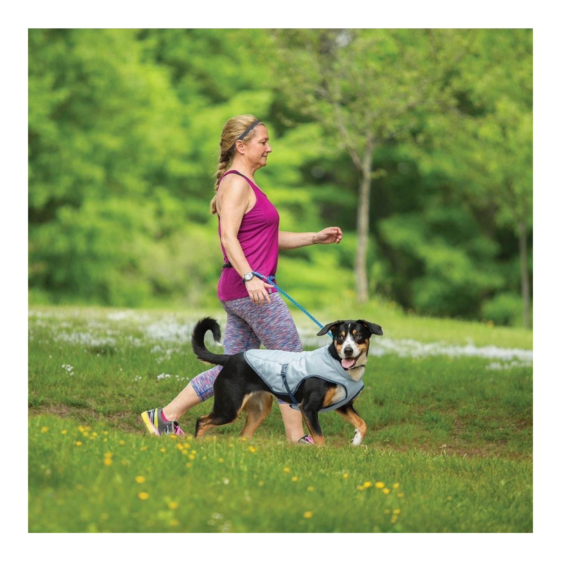Kurgo Kühlweste für Hunde