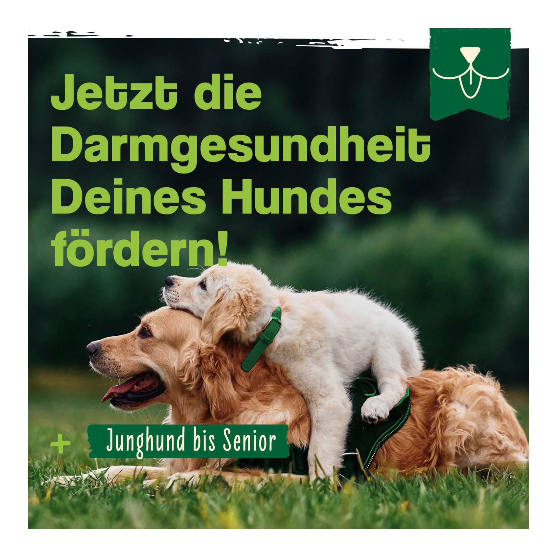 IdaPlus Heilmoor - Verbessert die Kotbeschaffenheit