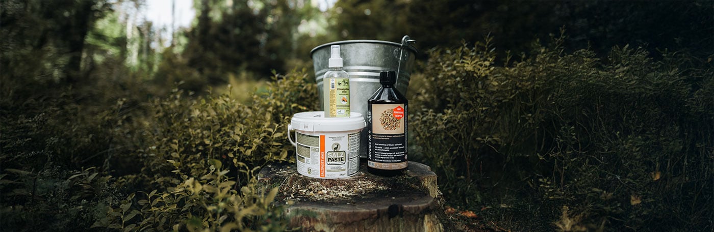 Haupnter-Jagd-kirren-locken-vergraemen