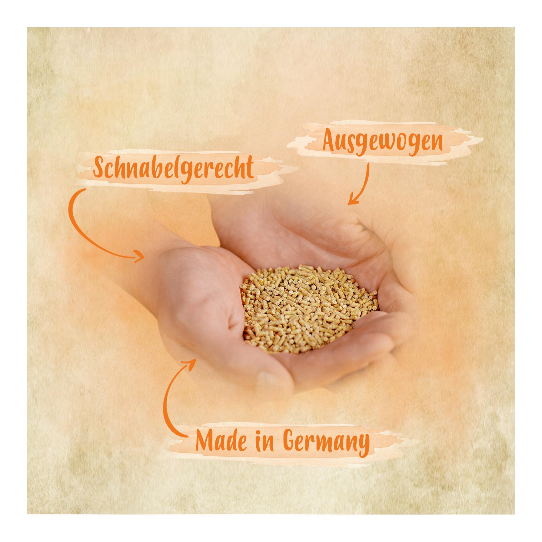 Kükenfutter Spezial – Aufzuchtfutter