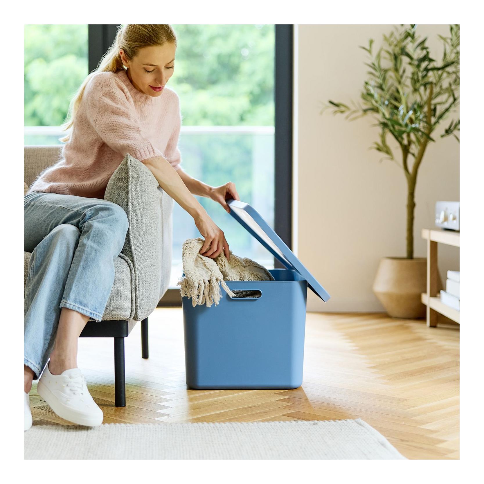 Rotho Multibox ALBULA