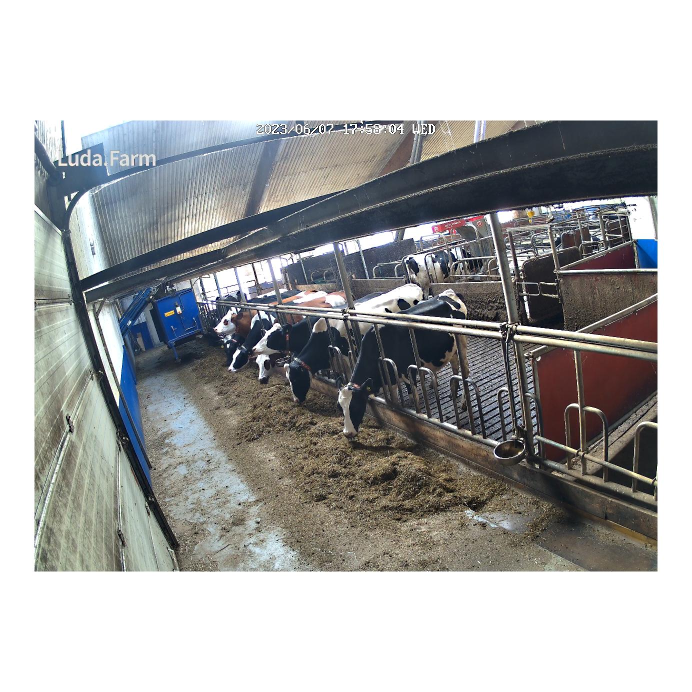 Kit complet FarmCam Flex avec Wi-Fi 300