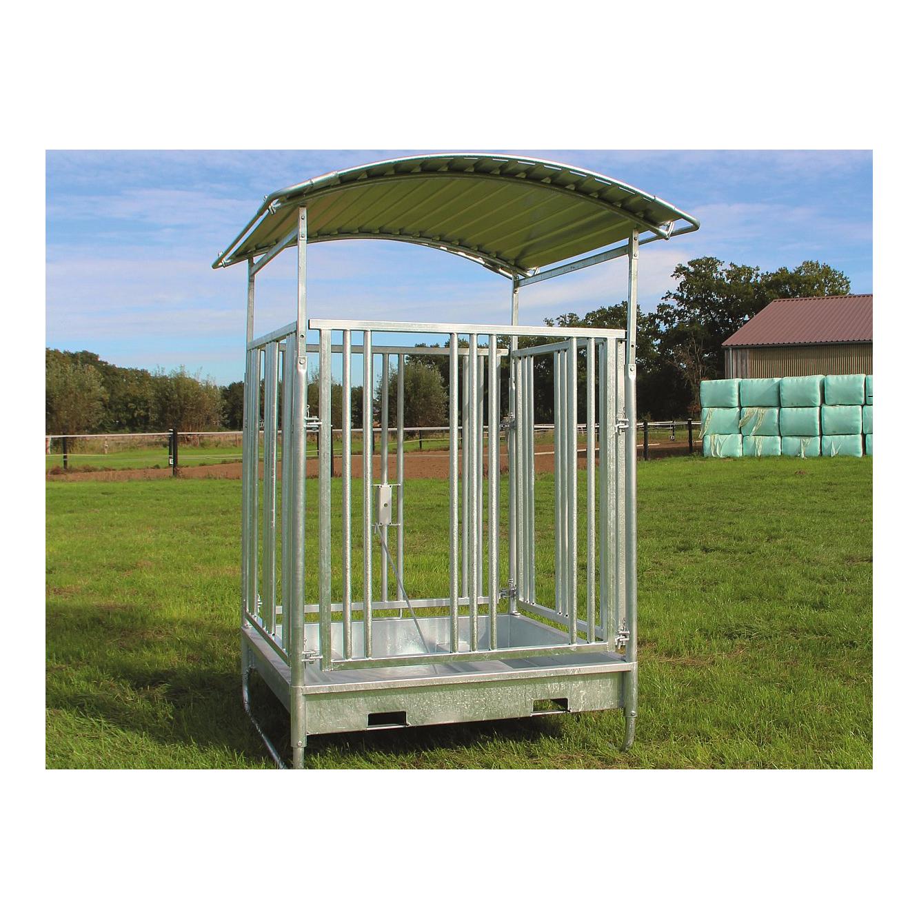 Quaderraufe kompakt 