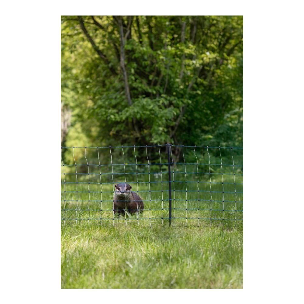 AKO Fischotternetz - Einzelspitz