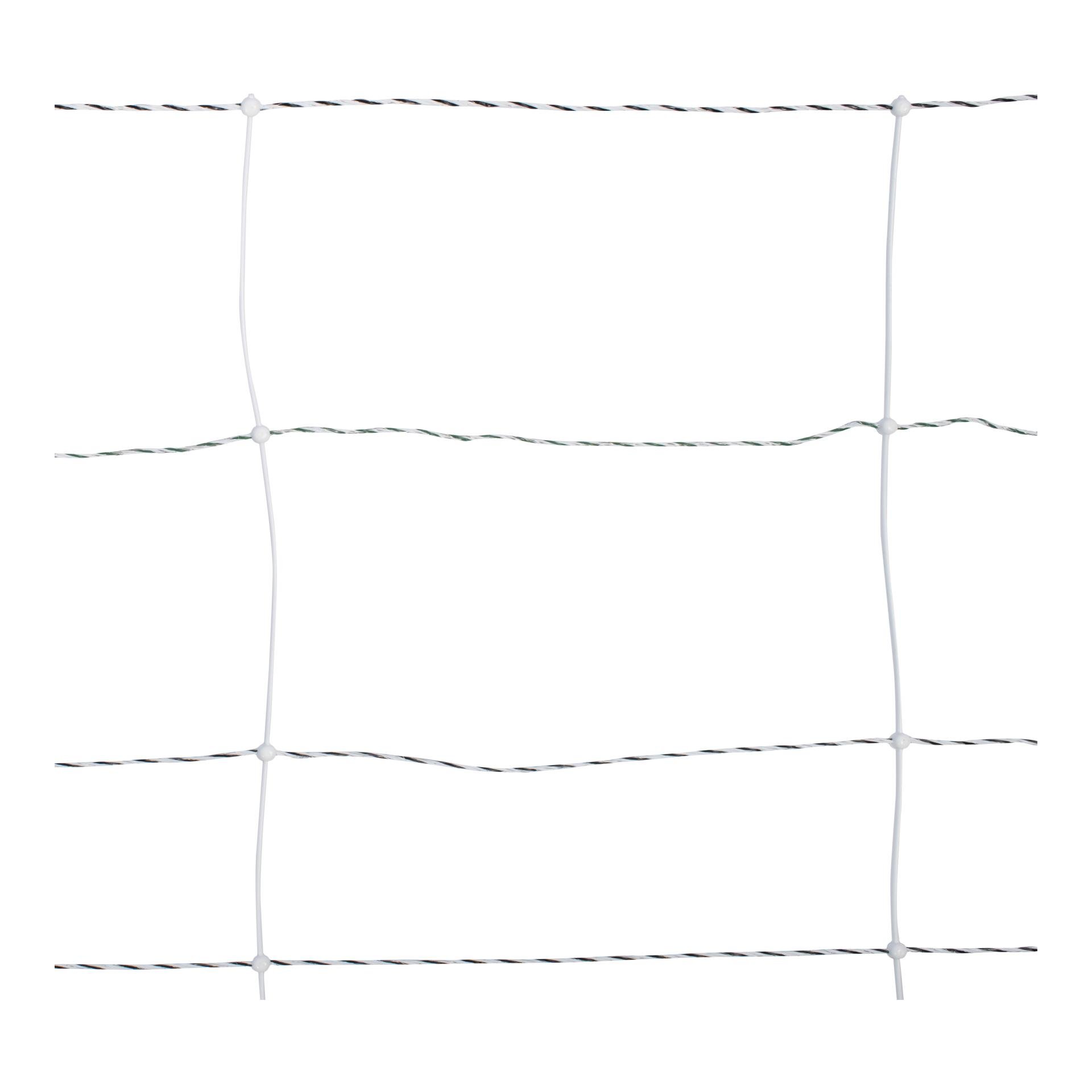 Wildschwein-Netz - Einzelspitz