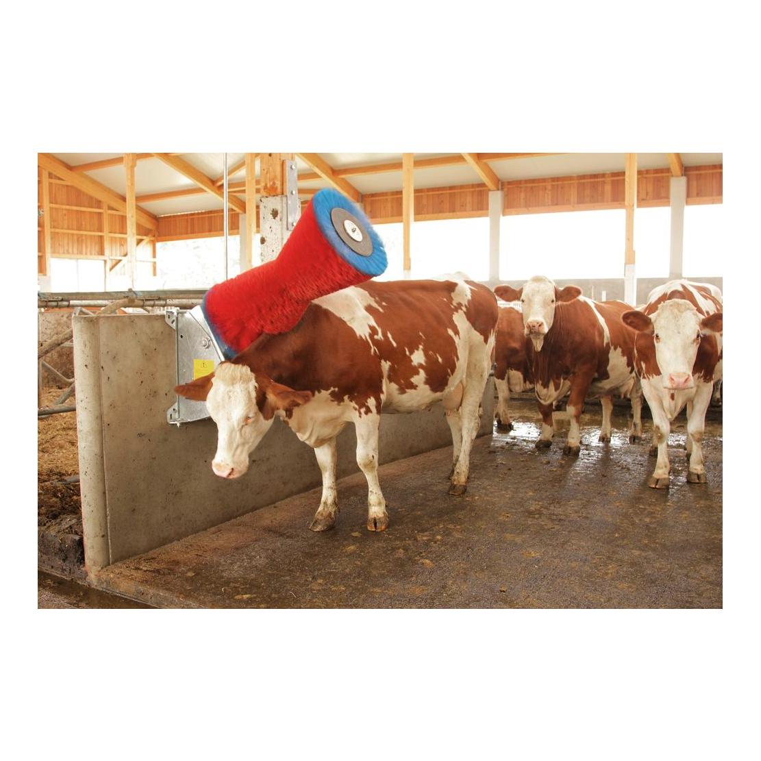 Kuhputzmaschine HAPPYCOW