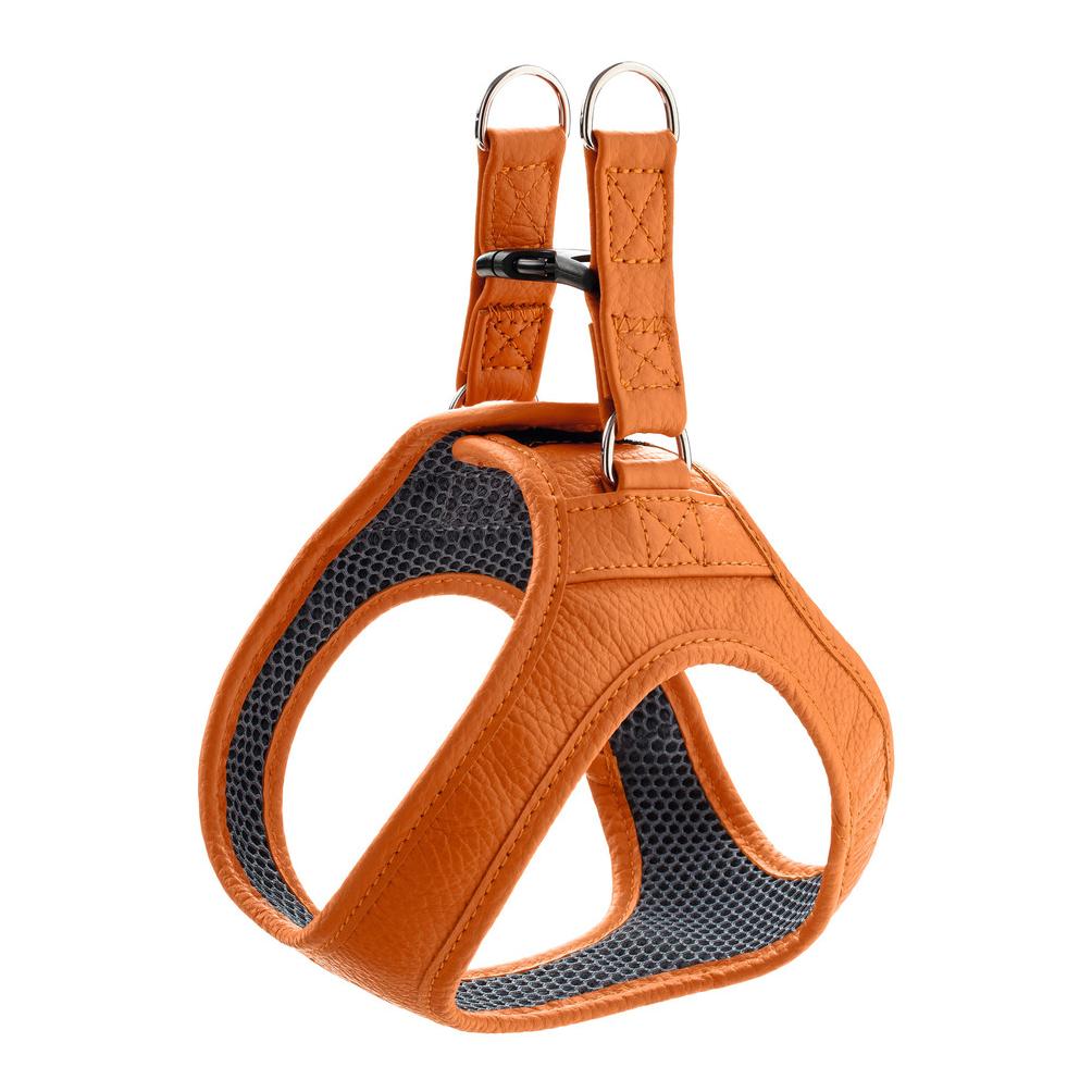 Image of Hunter Geschirr Hilo - leder, orange bei Hauptner.ch