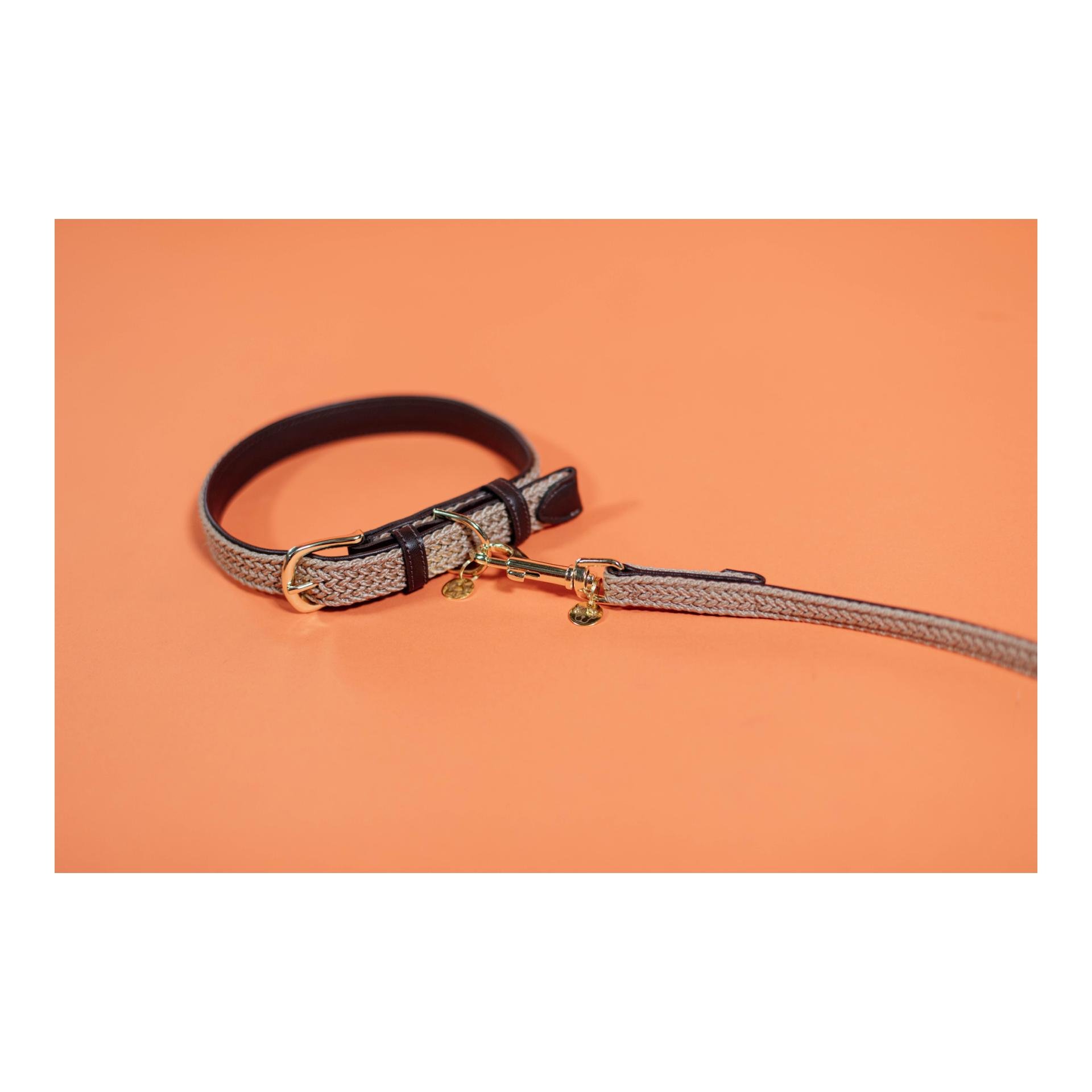 Hundehalsband Nylon geflochten