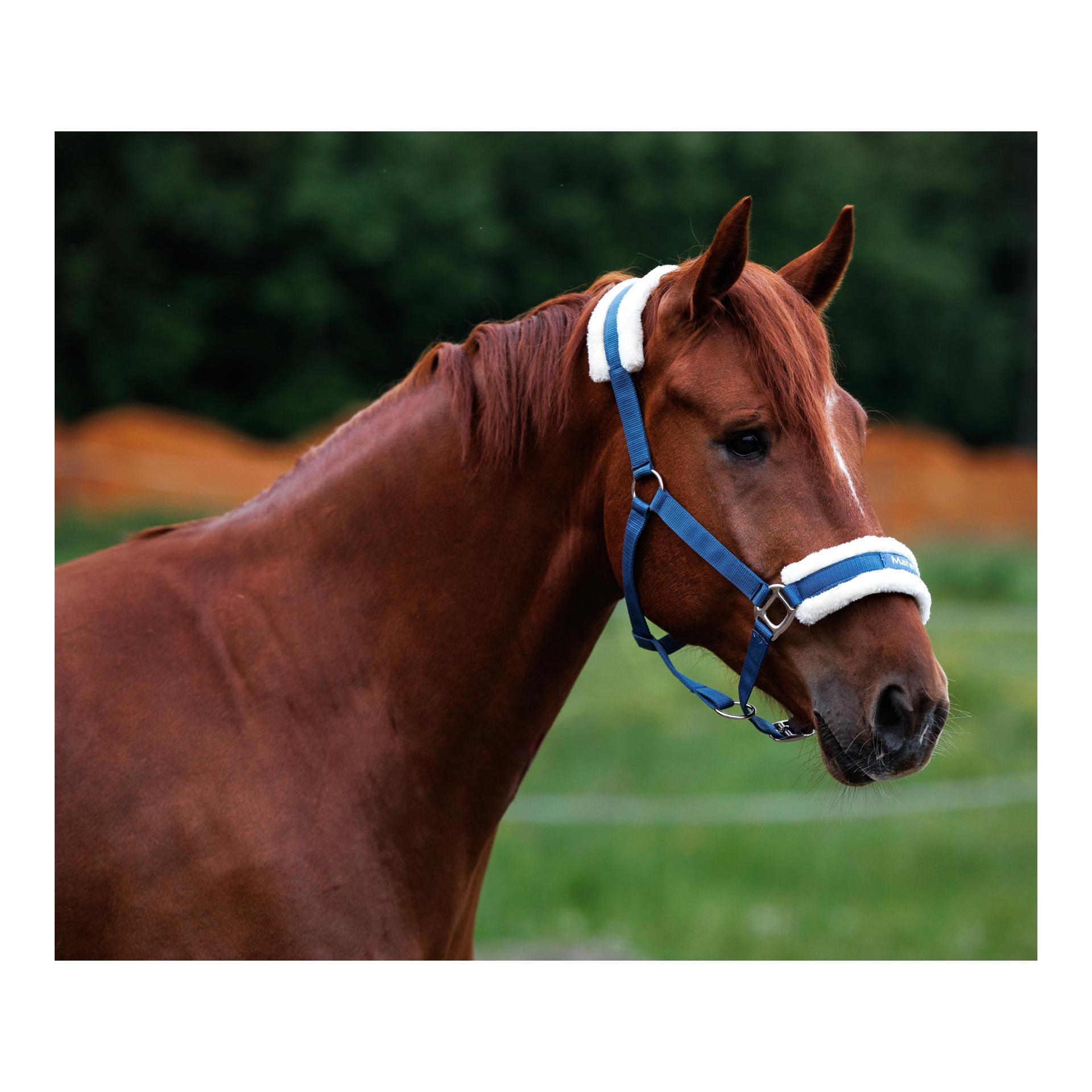Marengo Halfter Deluxe Kunstfell