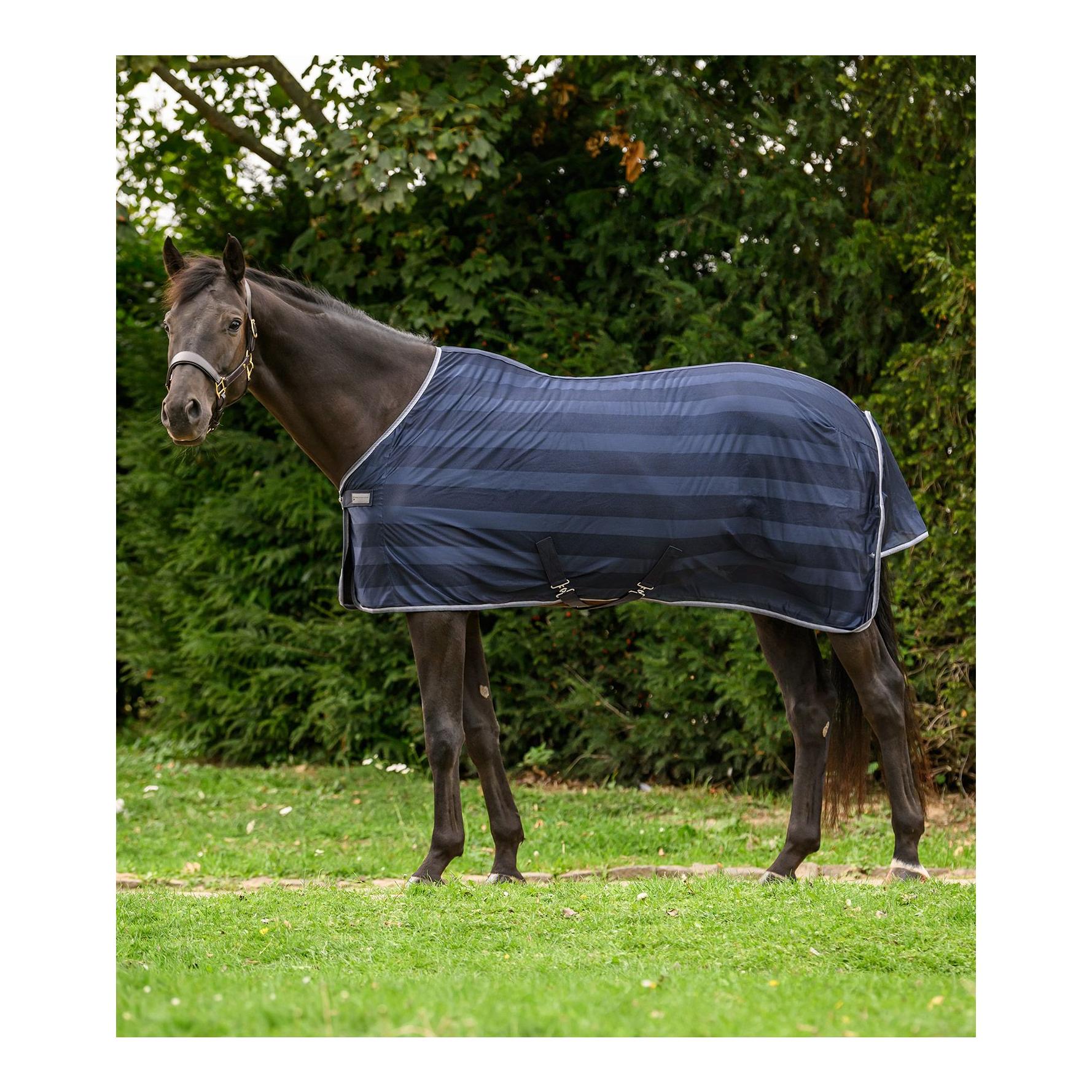 Waldhausen Fliegendecke Economic Kreuzbegurtung