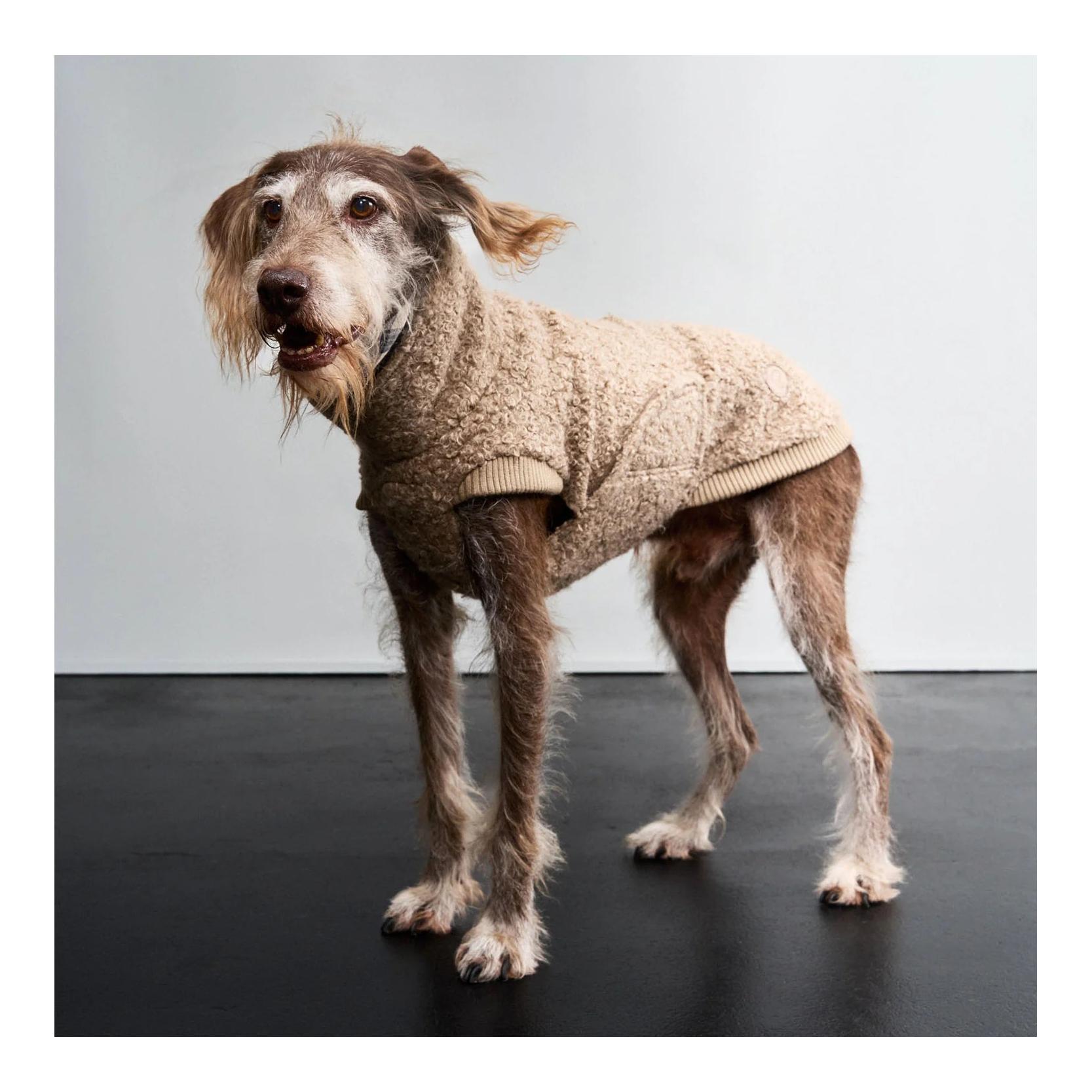 Hundepullover Gotland