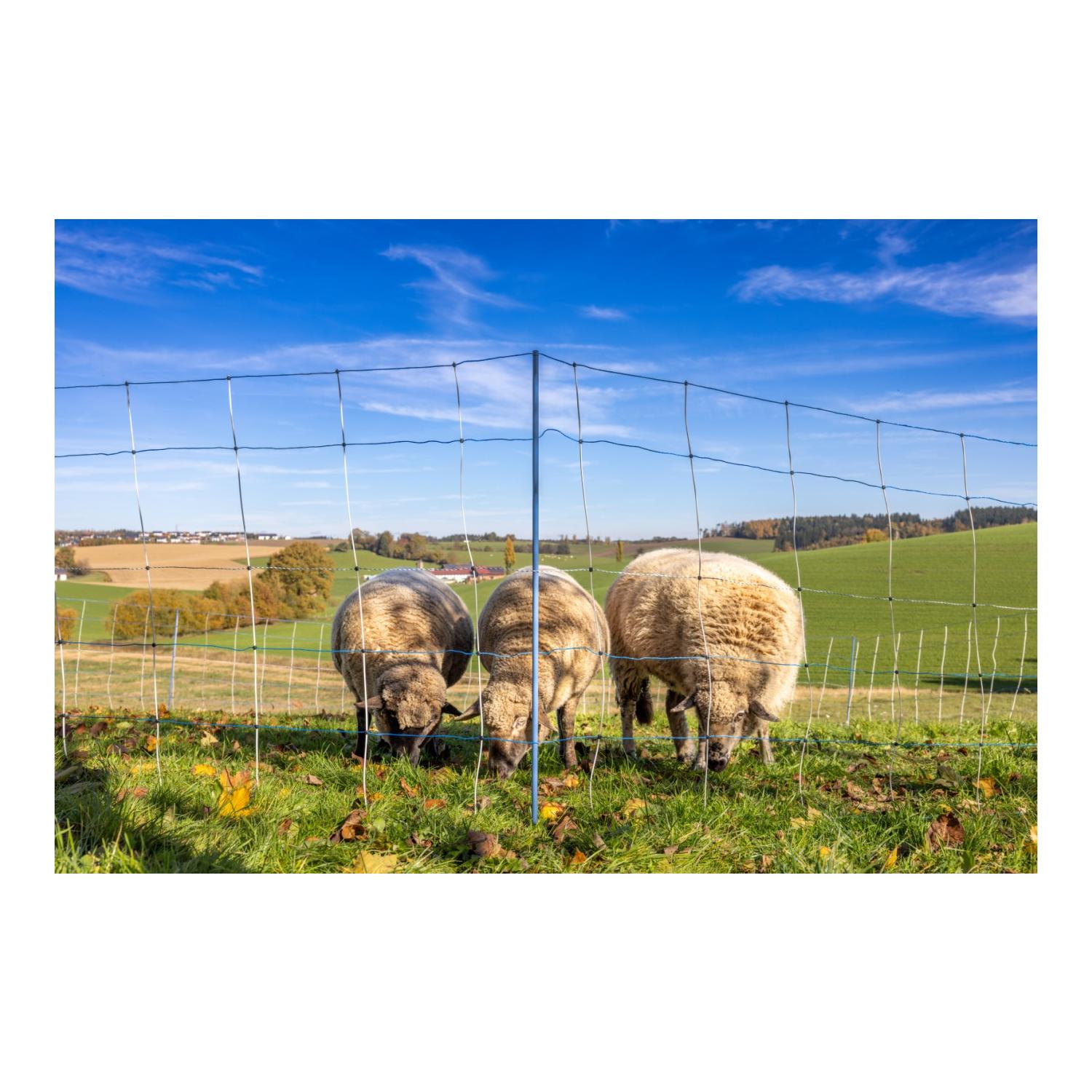 AKO Weidenetz Titan Light Premium - Einzelspitz