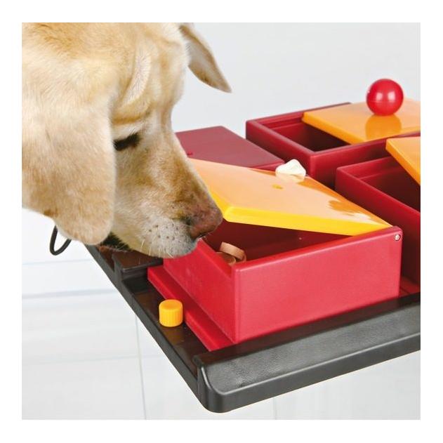 Dog Activity Poker Box Strategiespiel  31x10x31 cm