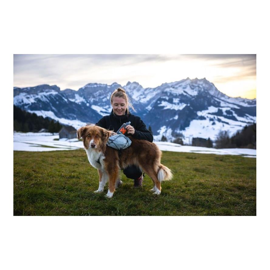 Hunderucksack Trail Light Dog Backpack