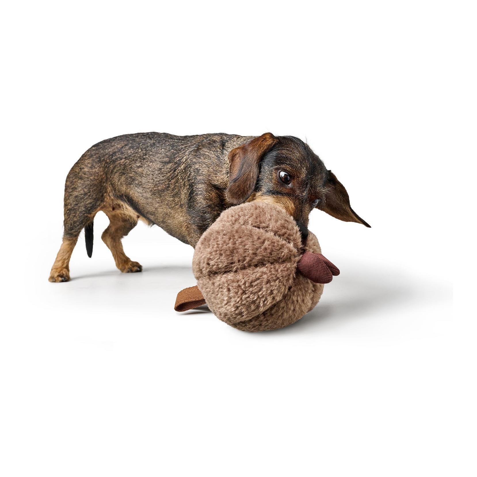 Hundespielzeug Venice Zwiebel