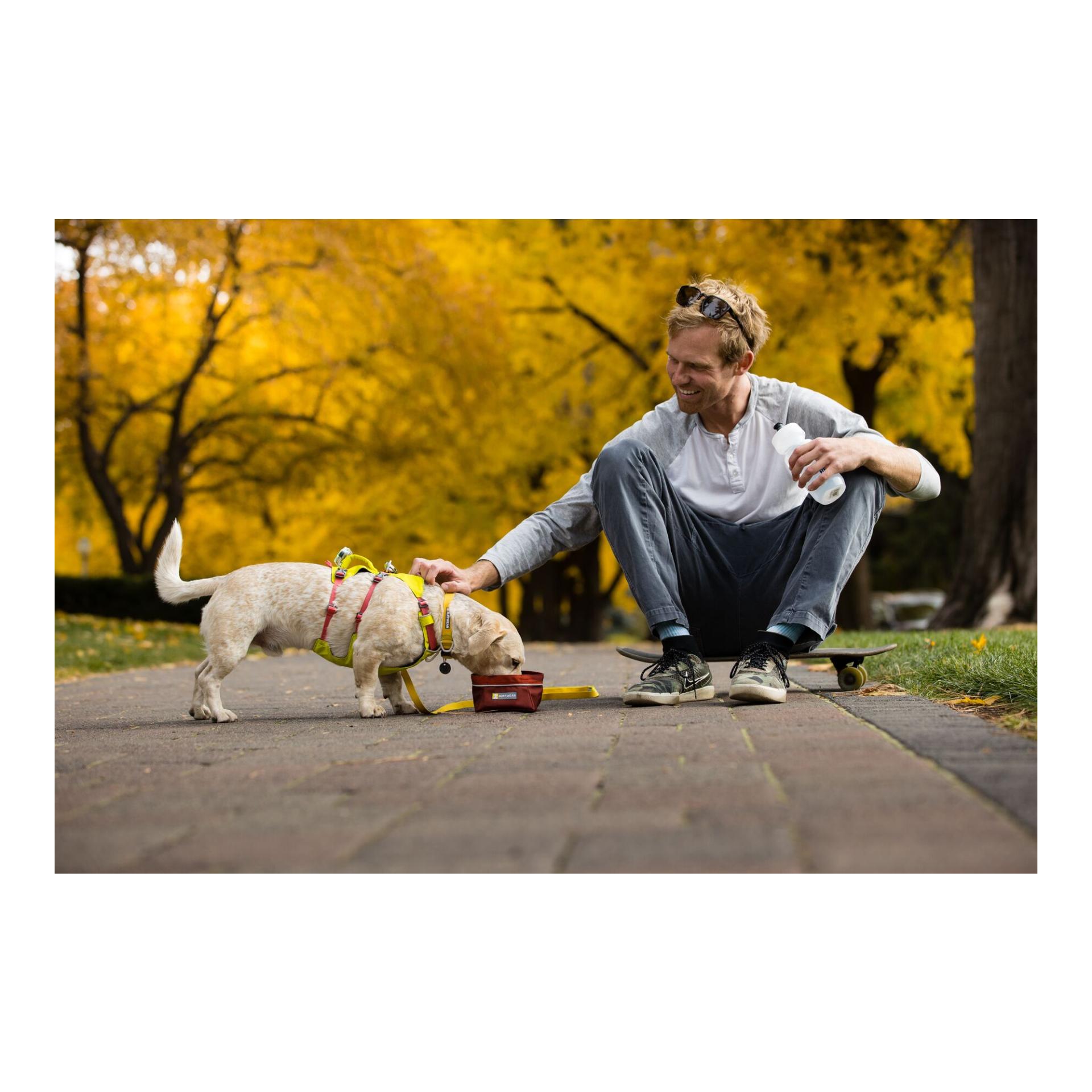 Flagline™ Hundegeschirr