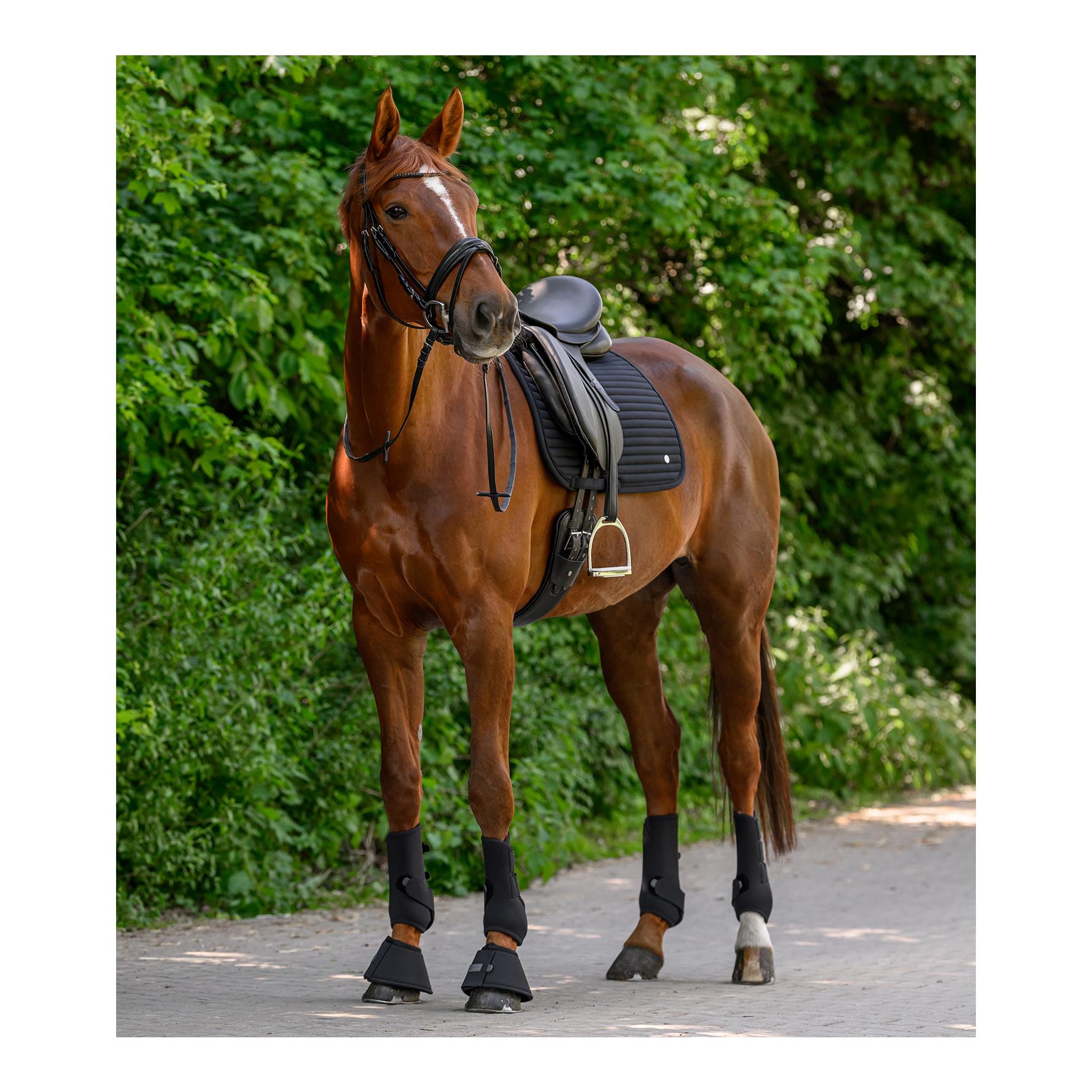 Waldhausen Schabracke Trinidad