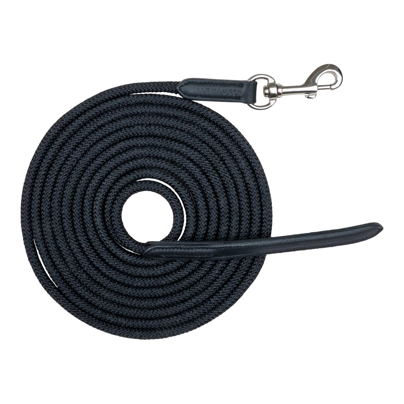 Bodenarbeitsseil leicht mit Karabiner