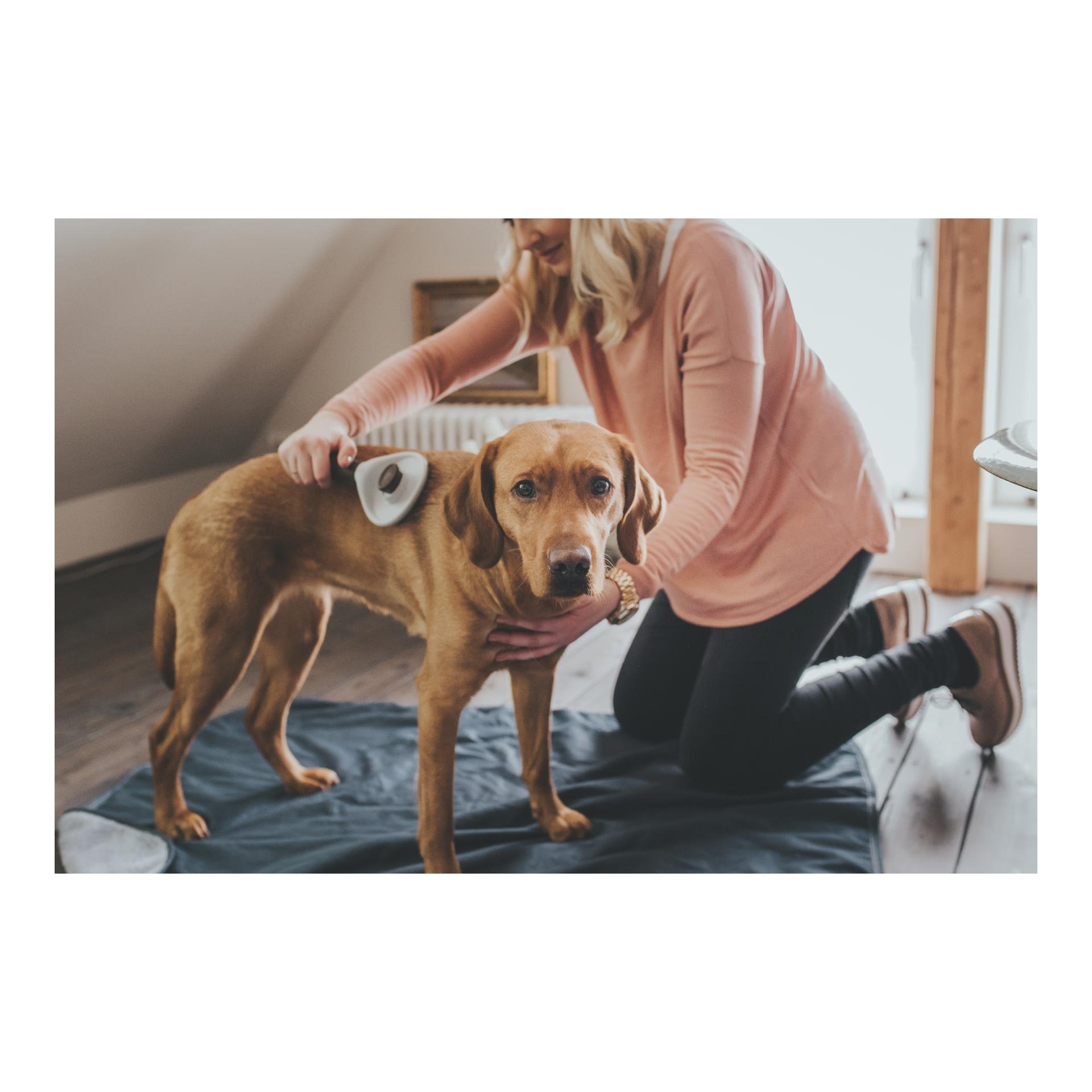 Zupfbürste Spa selbstreinigend