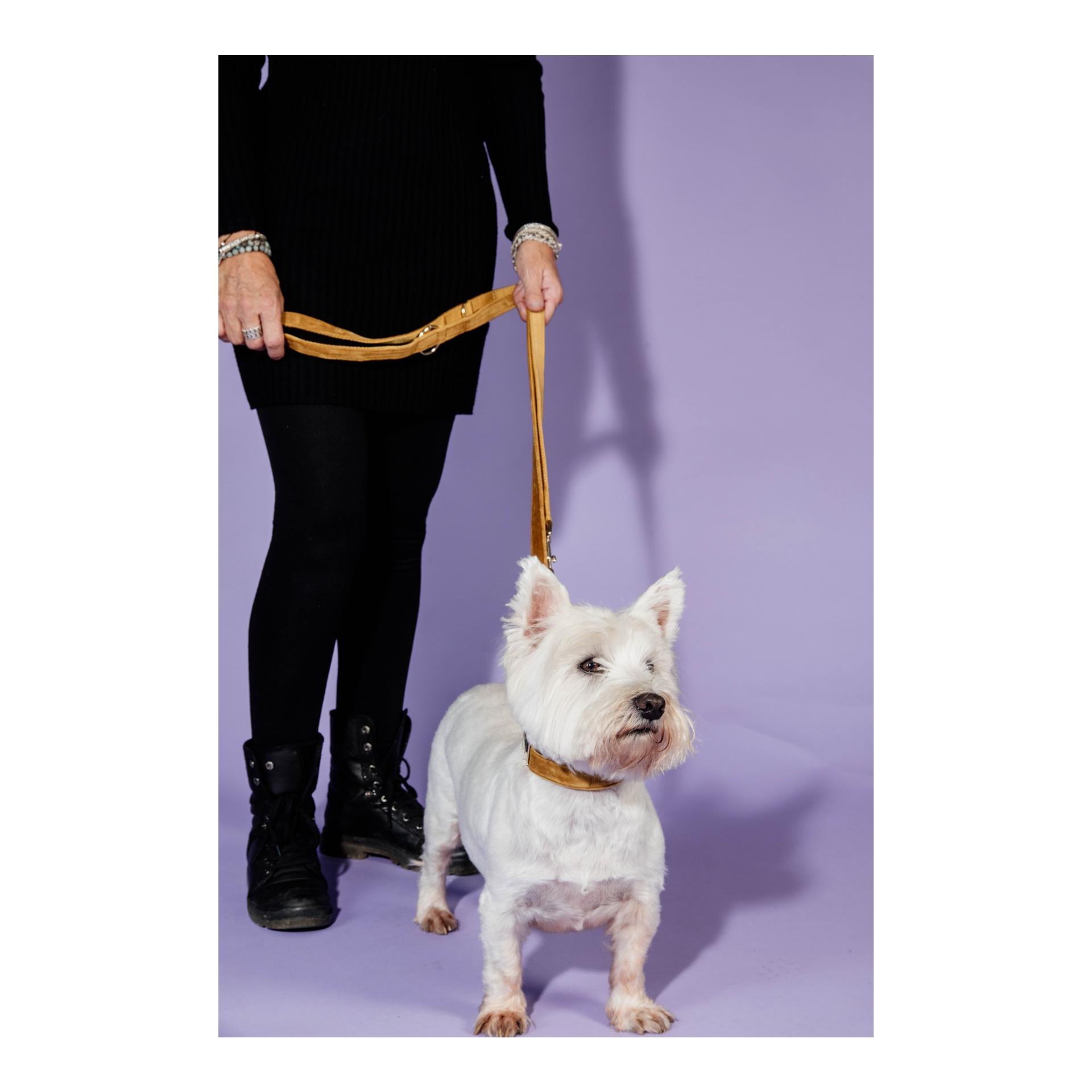 Hundeleine Velvet - bordeaux