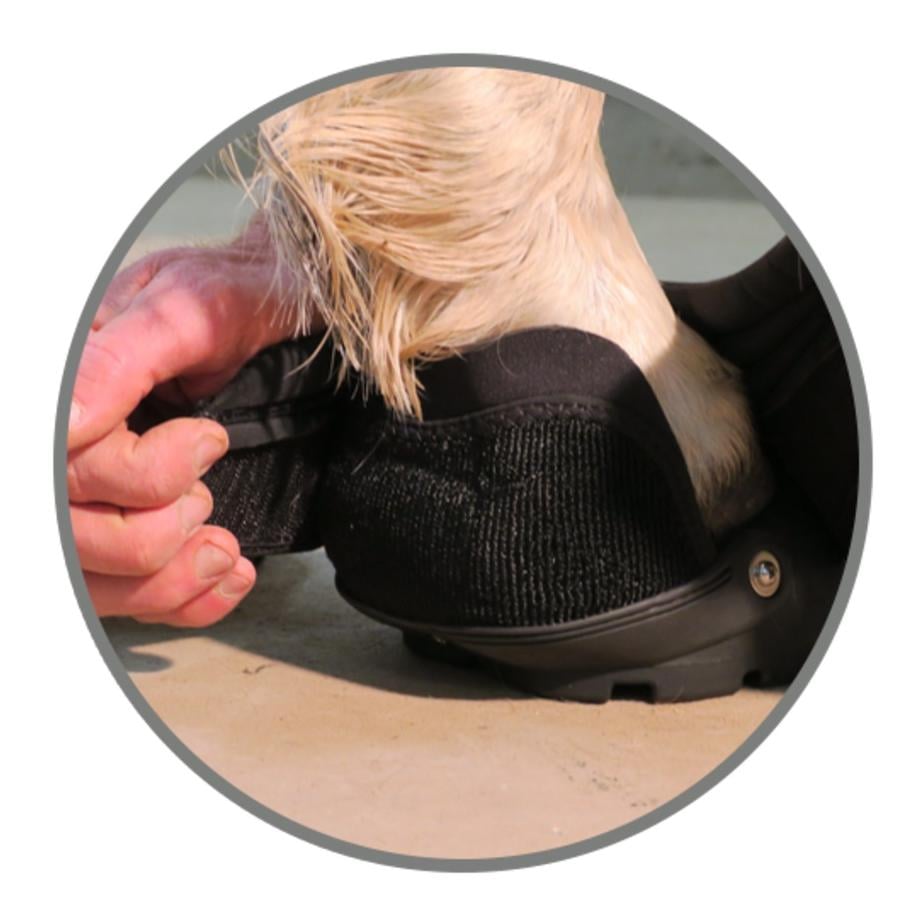 New Back Country (Stück)