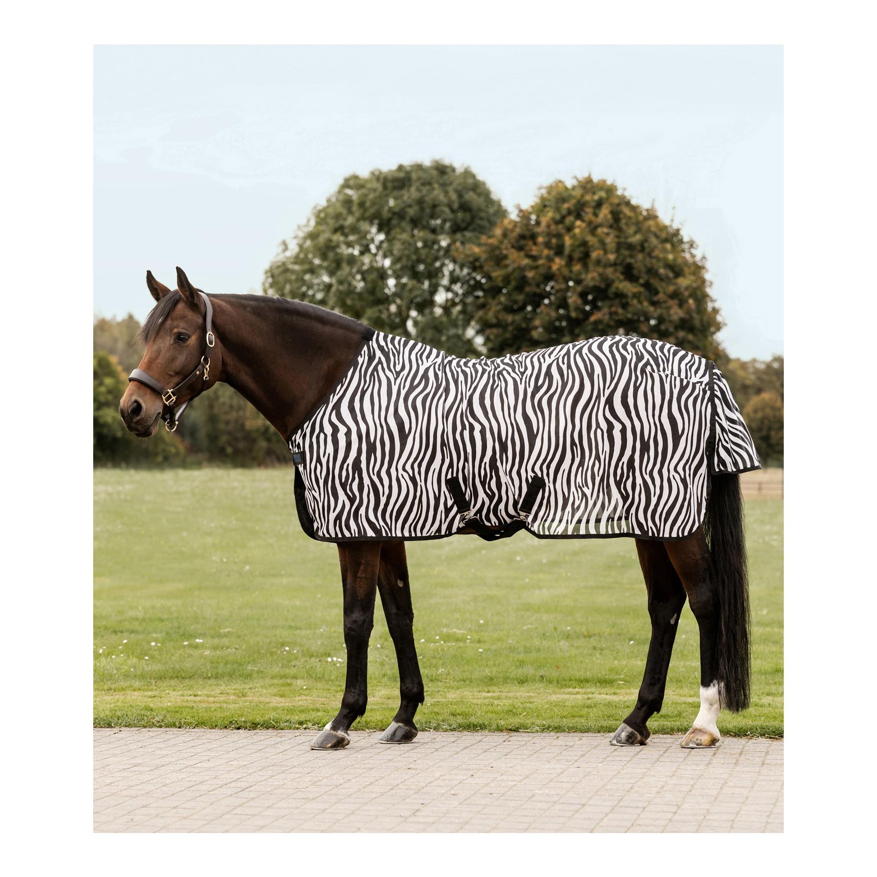 Fliegendecke Zebra mit Kreuzgurten