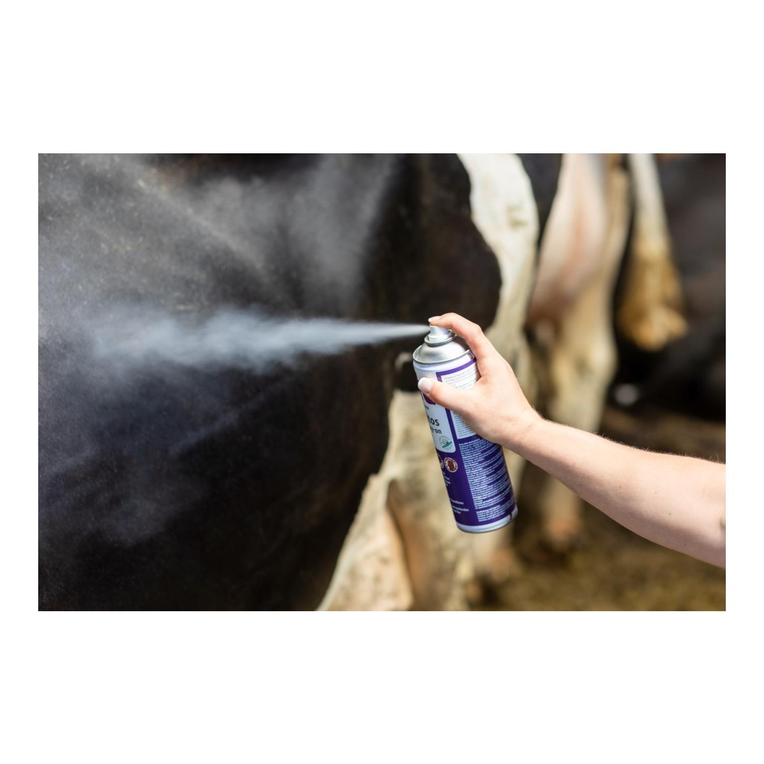 cit Parasitos Spray-on