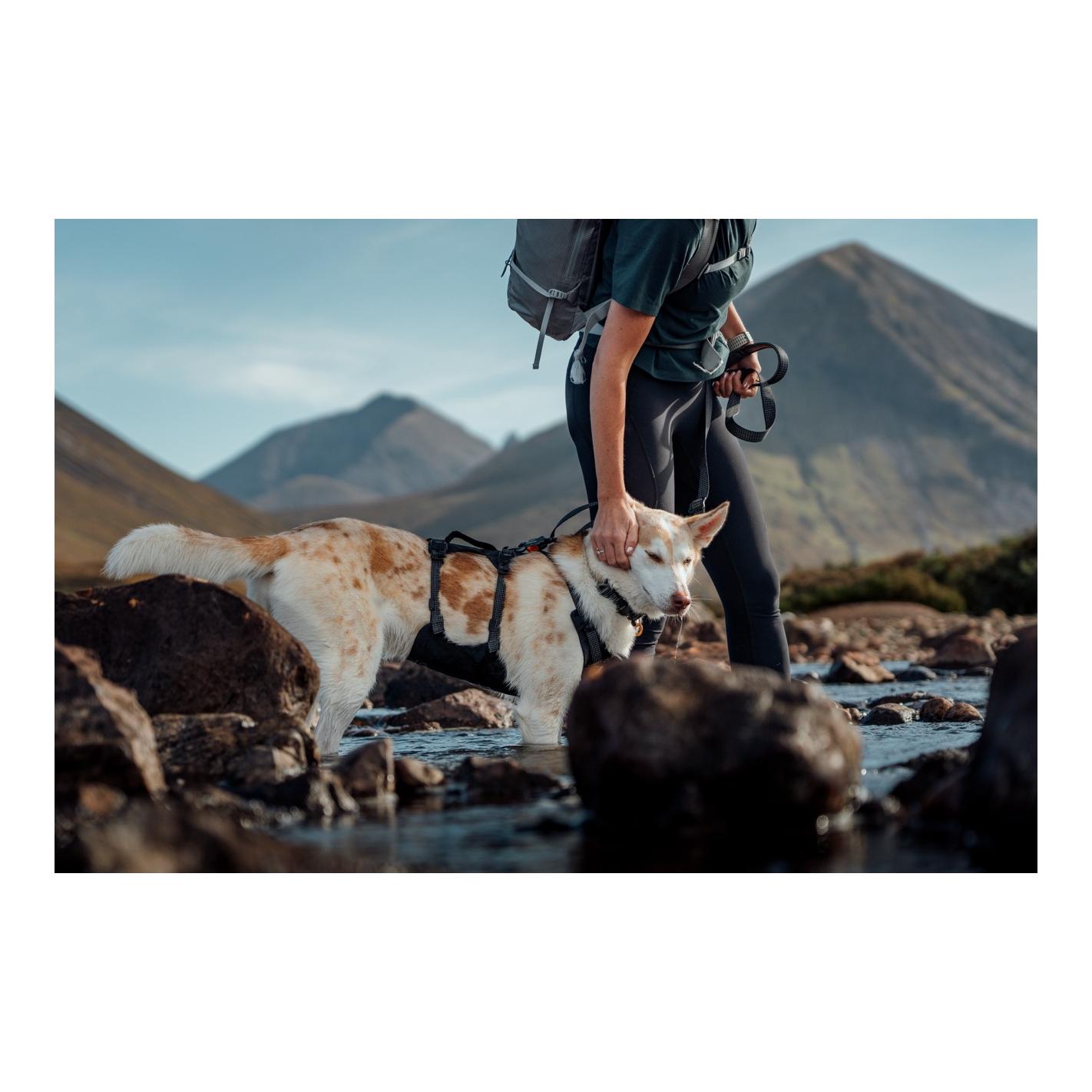 Ruffwear Ridgeline™ Hundehalsband