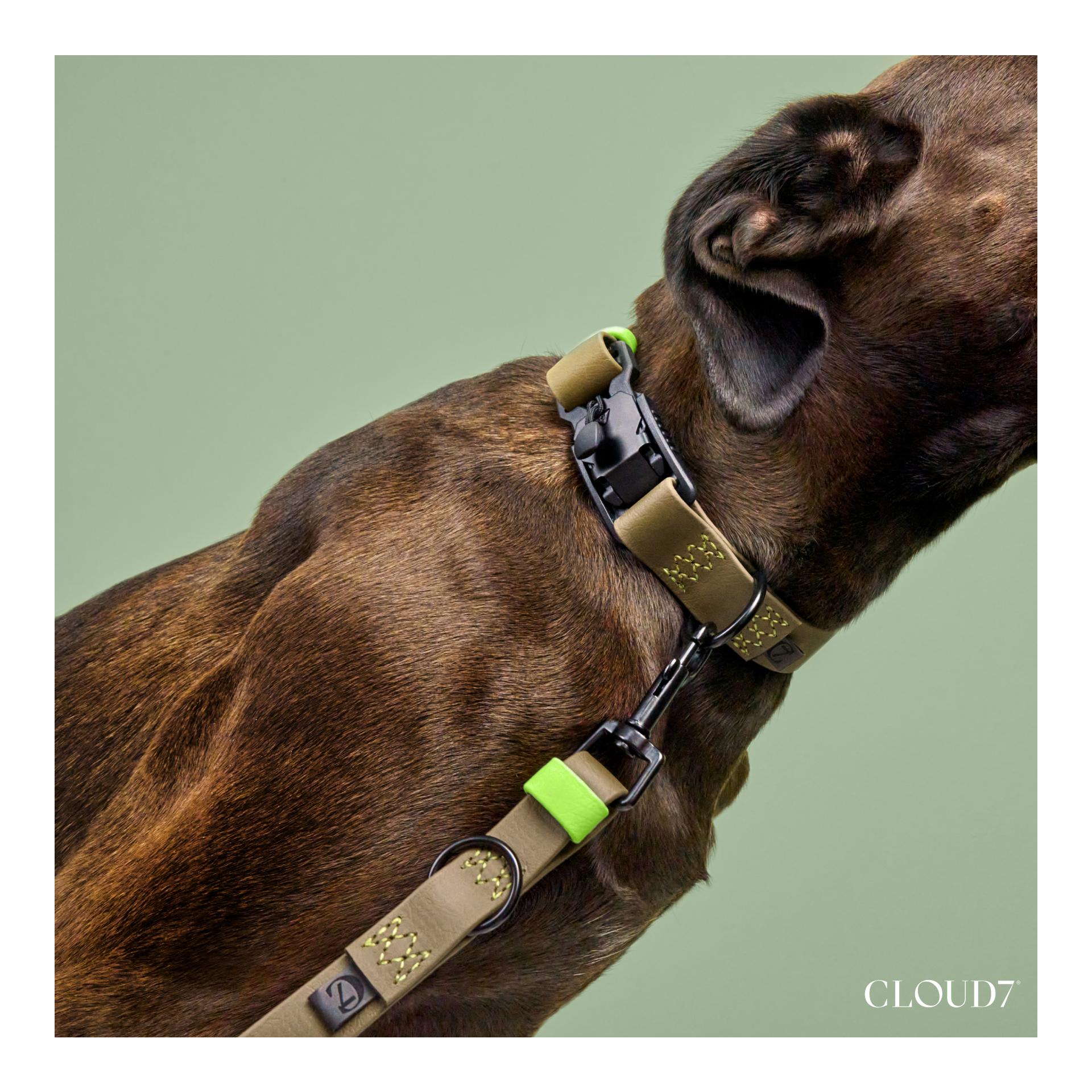 Collier de chien Biothane Ipanema