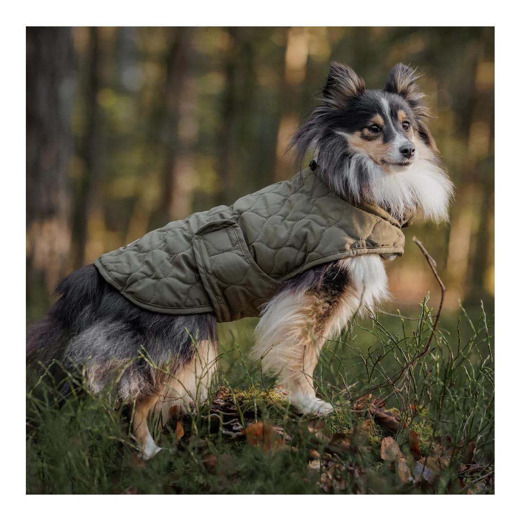 Veste matelassée pour chiens