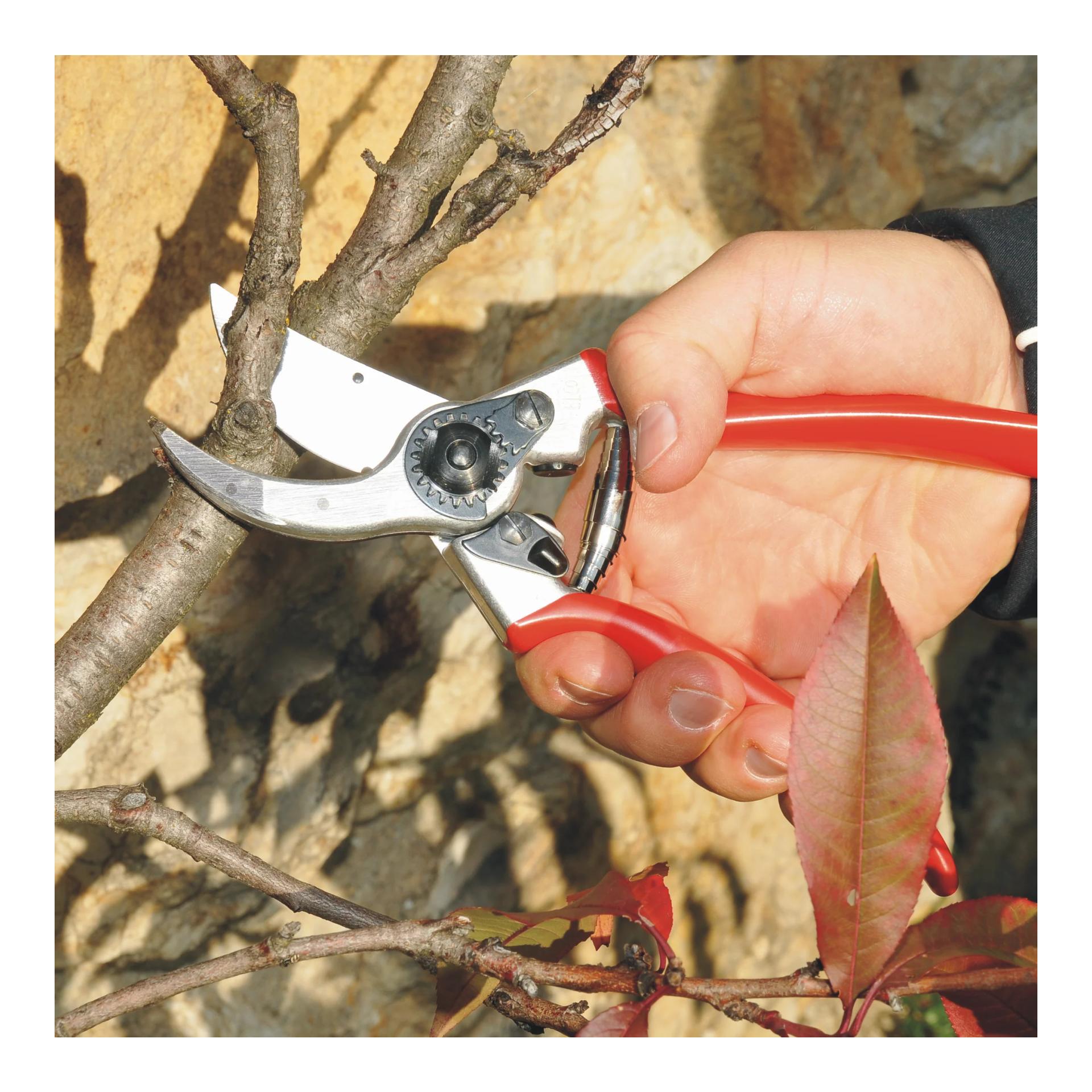 FELCO 2 Baum-, Reb- und Gartenschere