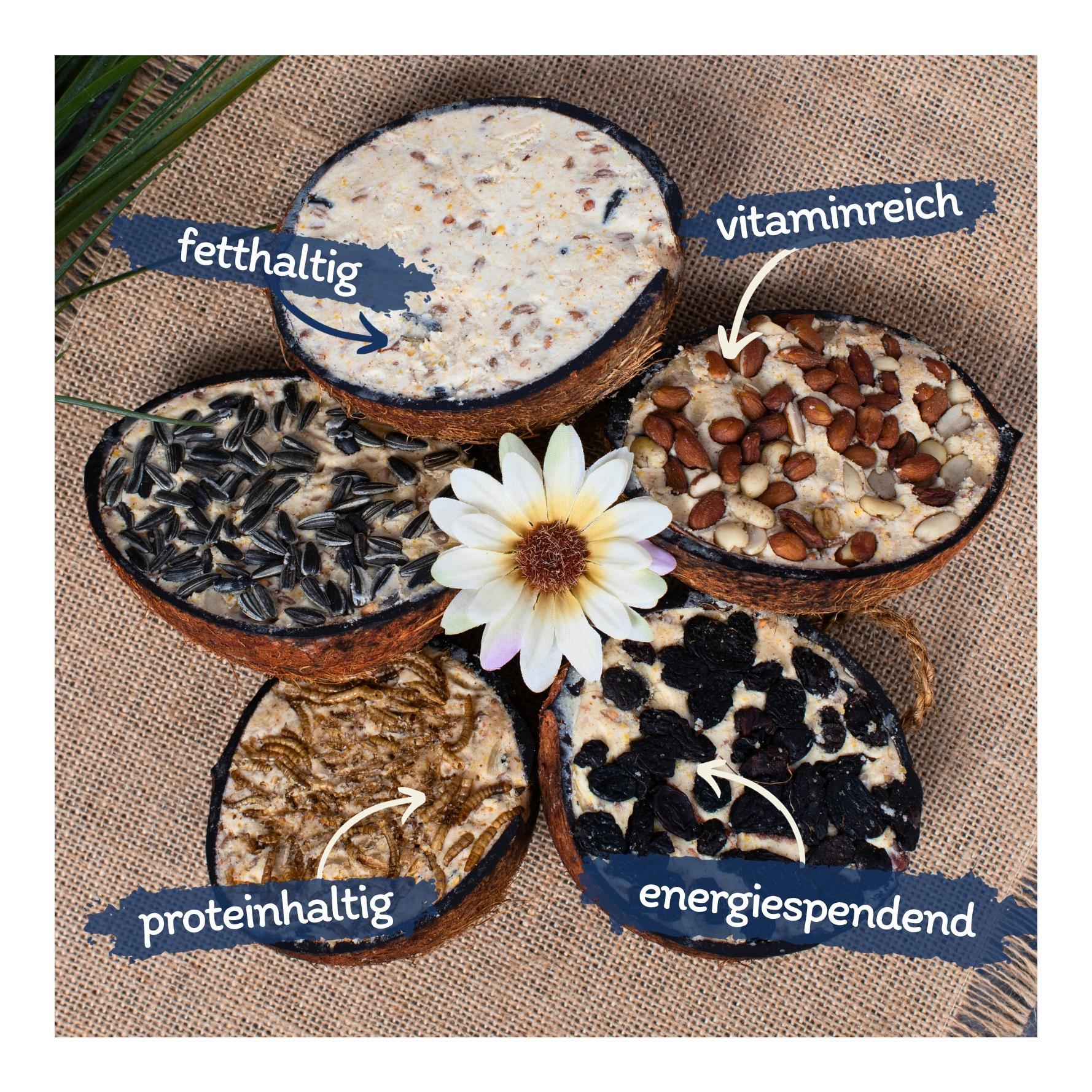 Halbe Kokosnuss gefüllt