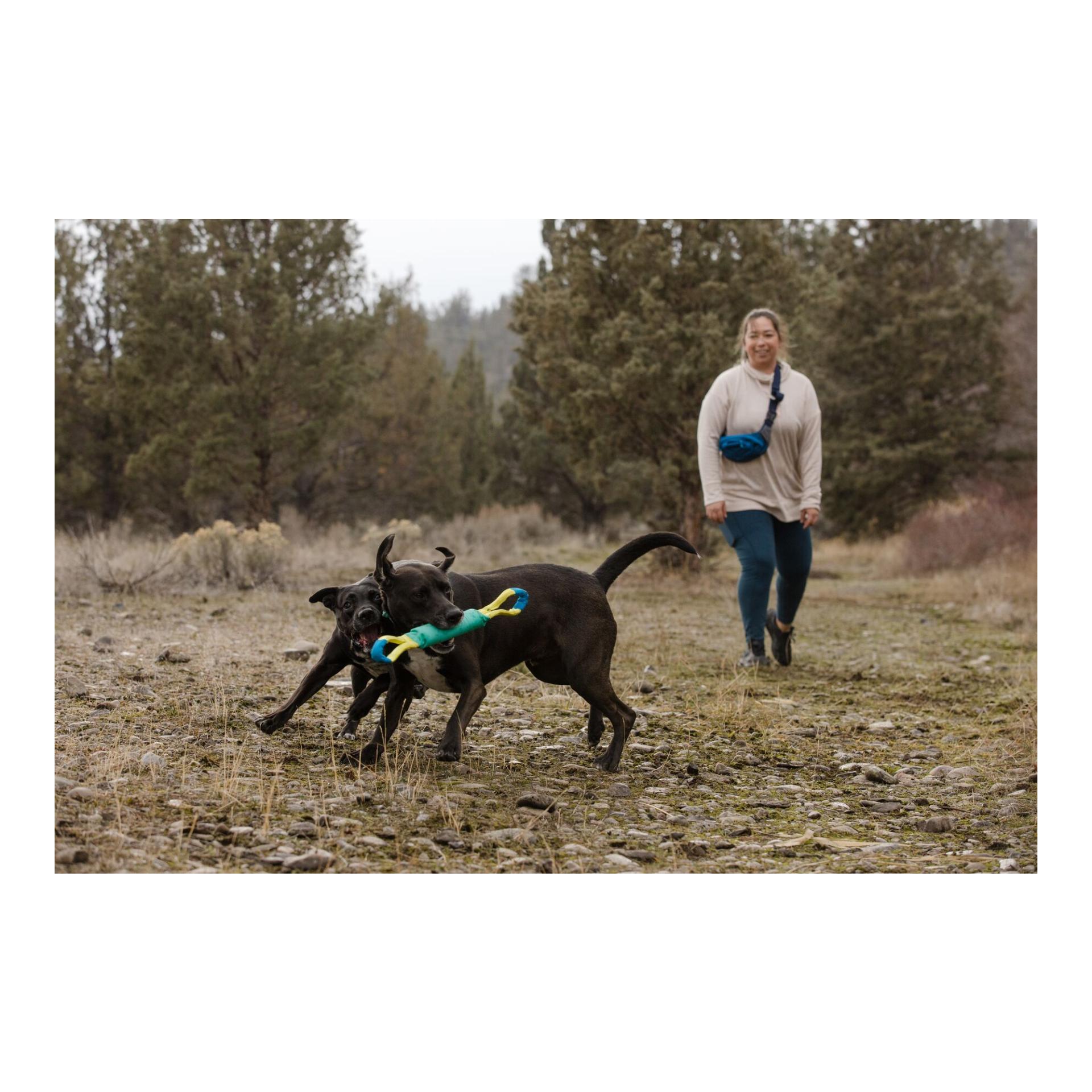 Ruffwear Pacific Loop™ Jouet pour chiens