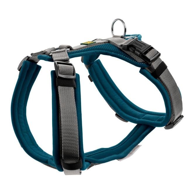 Image of Hunter Geschirr Maldon - petrol/grau bei Hauptner.ch