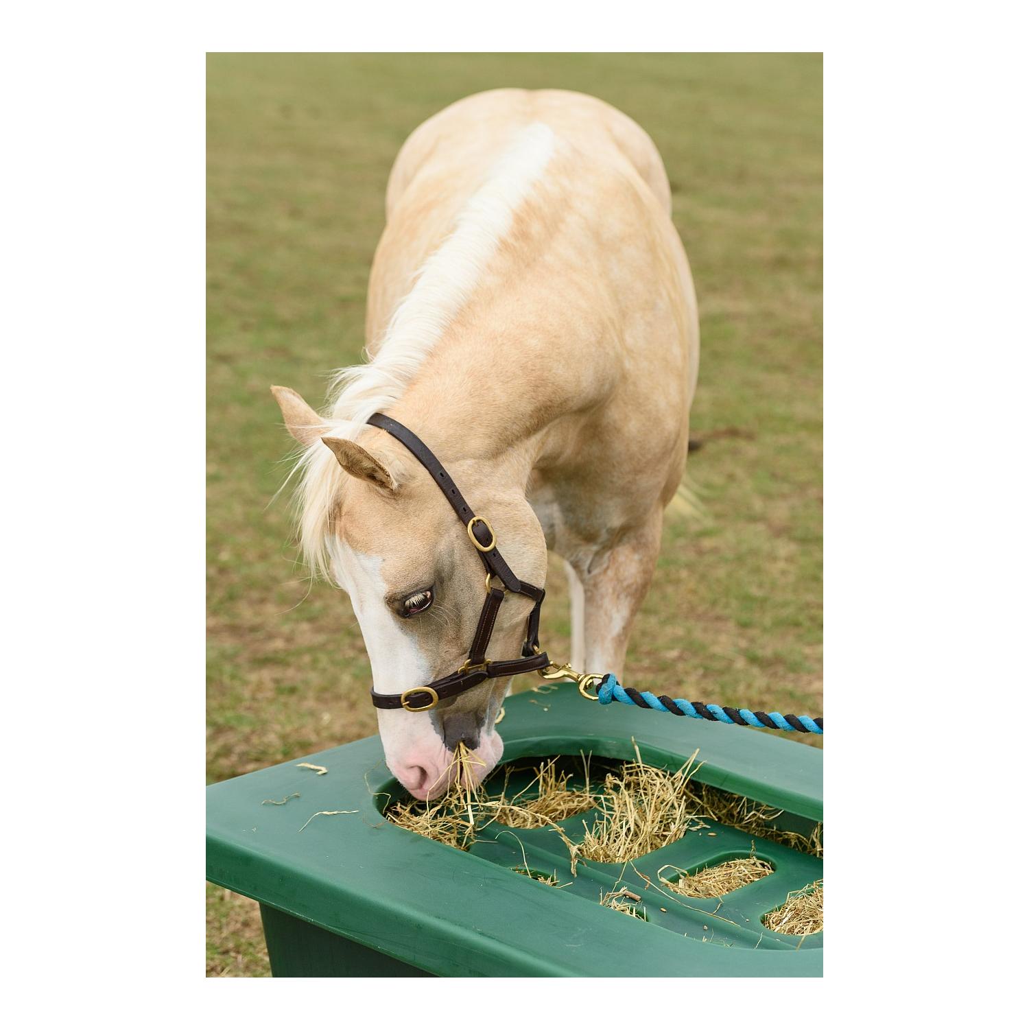 Growi Koppel- u. Paddocktrog aus Kunststoff