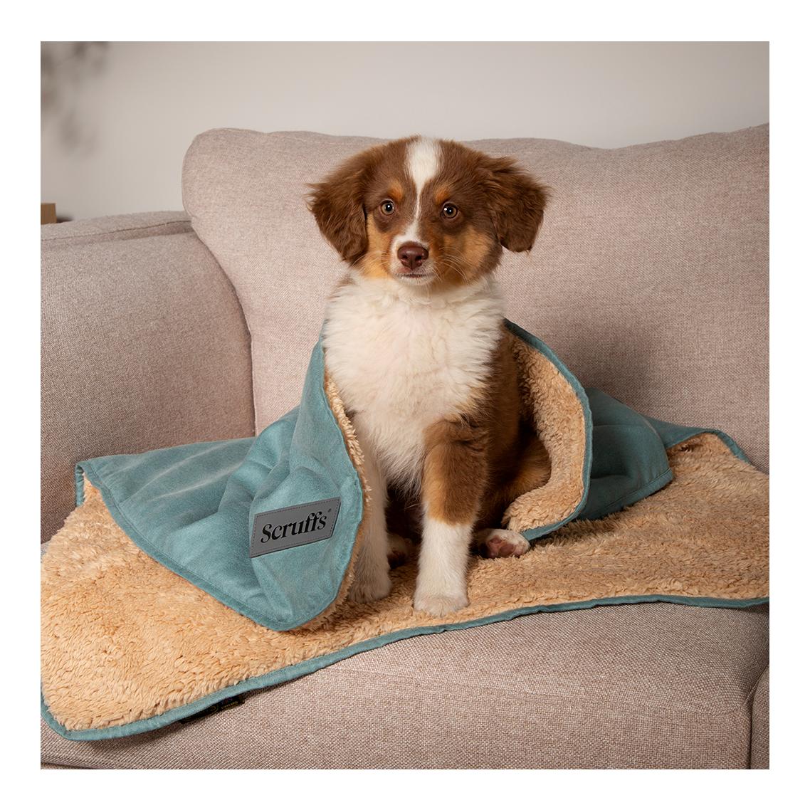 Kuscheldecke für Hunde