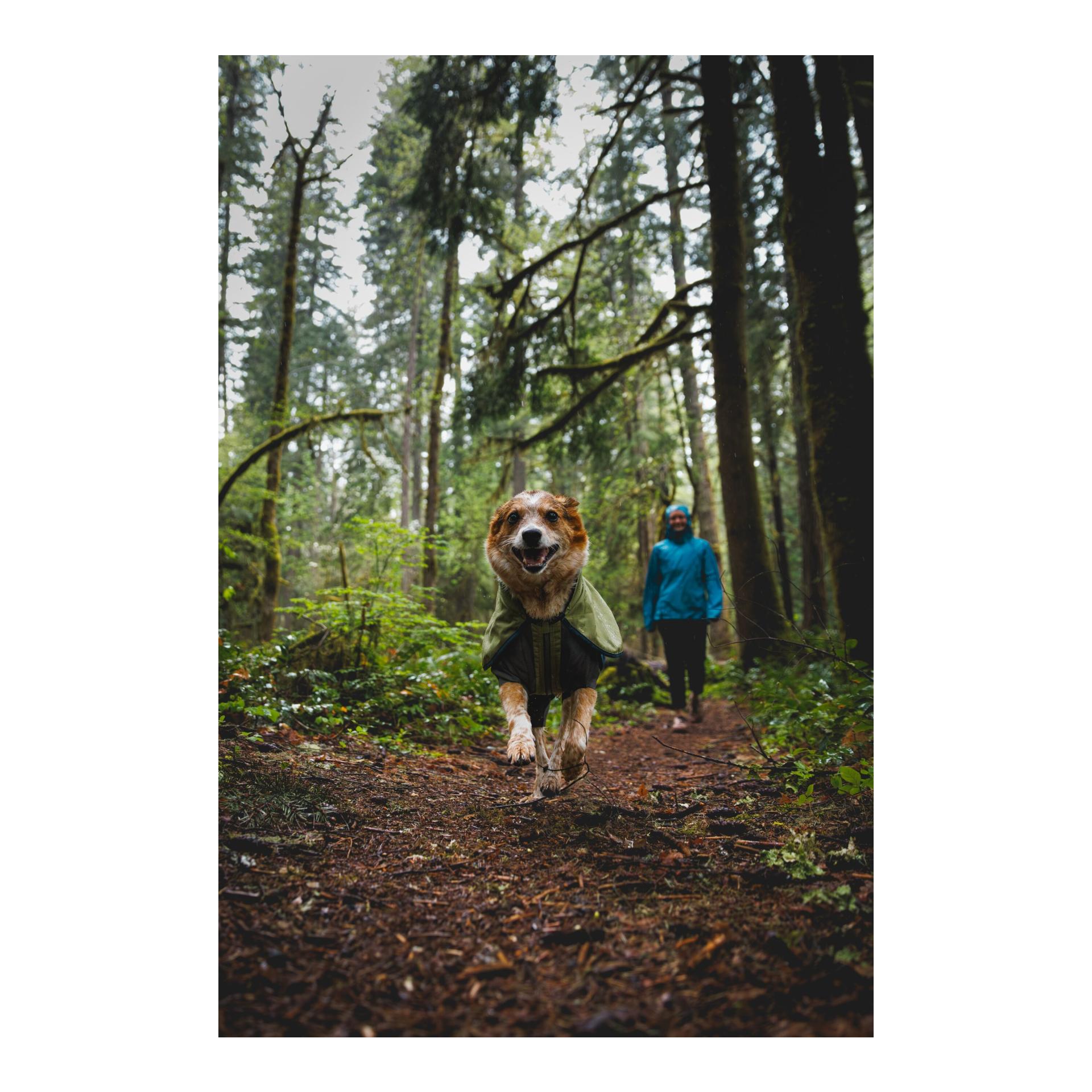 Sun Shower Coverall Hundemantel