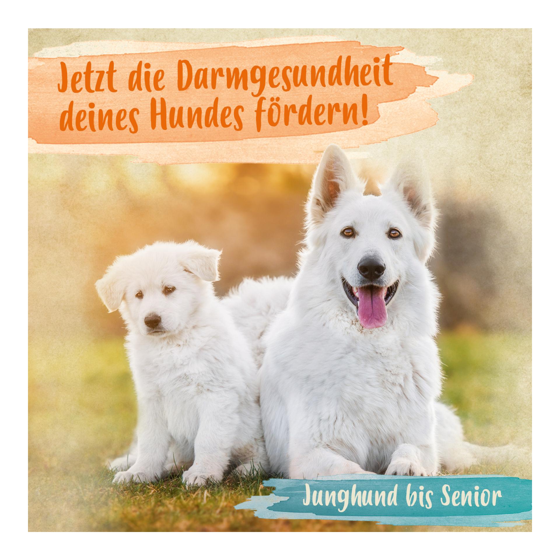 Heilmoor - Verbessert die Kotbeschaffenheit