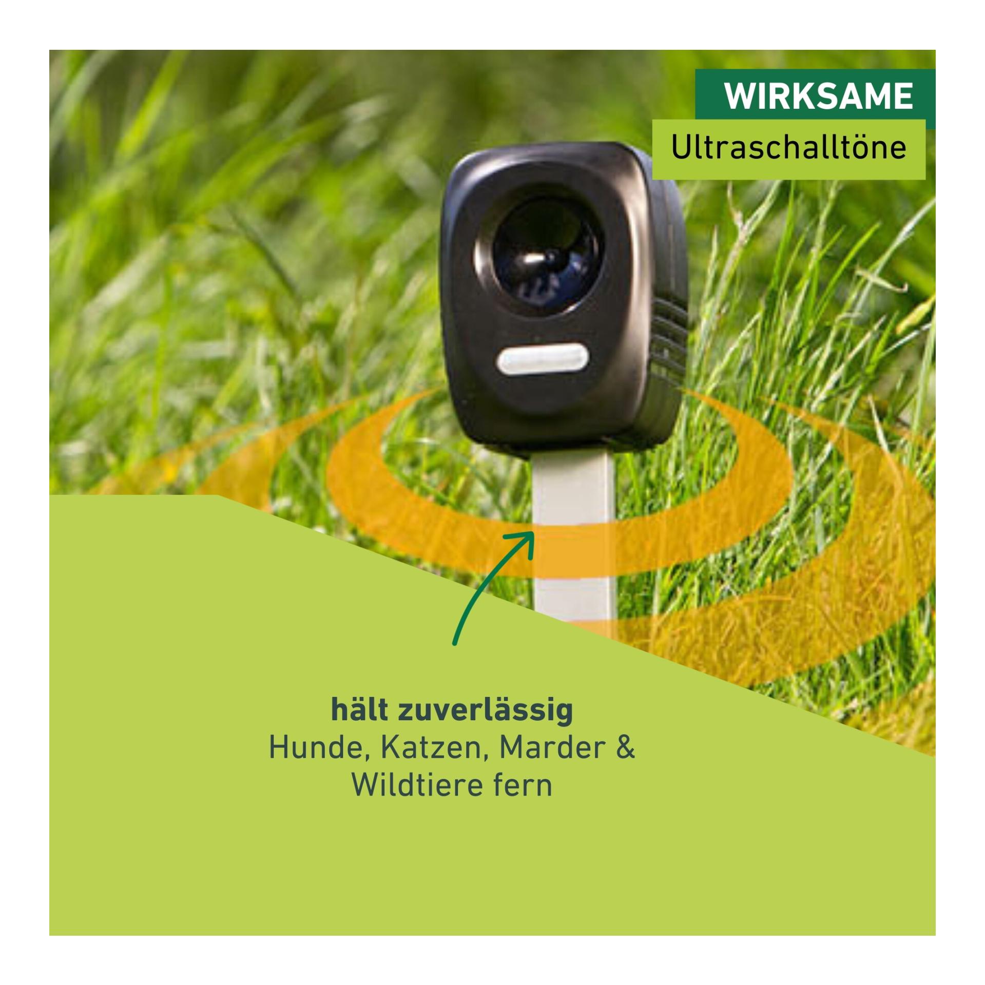 Windhager Appareil « Ultrasonic » pour éloigner chiens, chats et martres