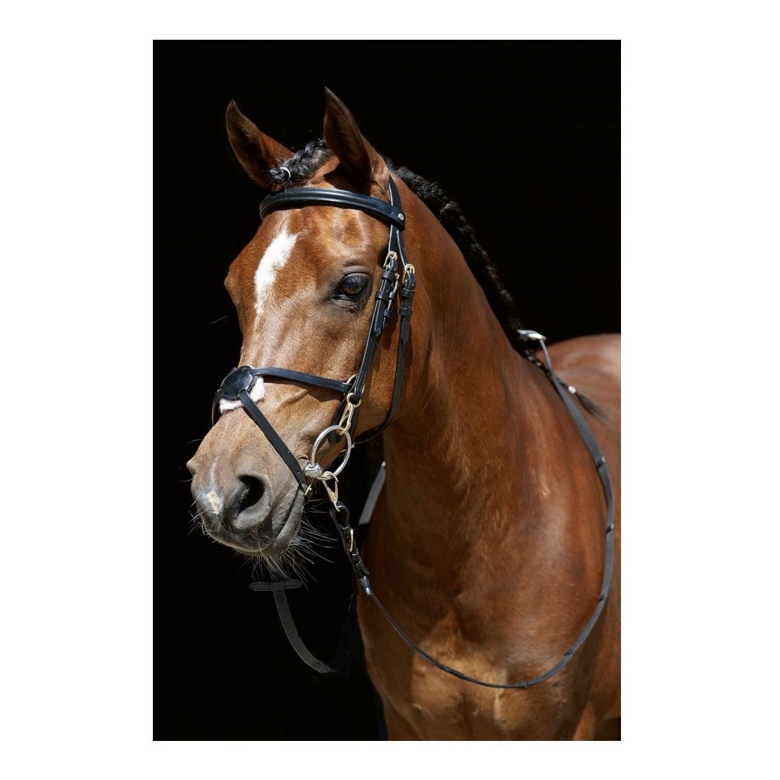 Image of HKM Zaum Mexikanisch - schwarz bei Hauptner.ch