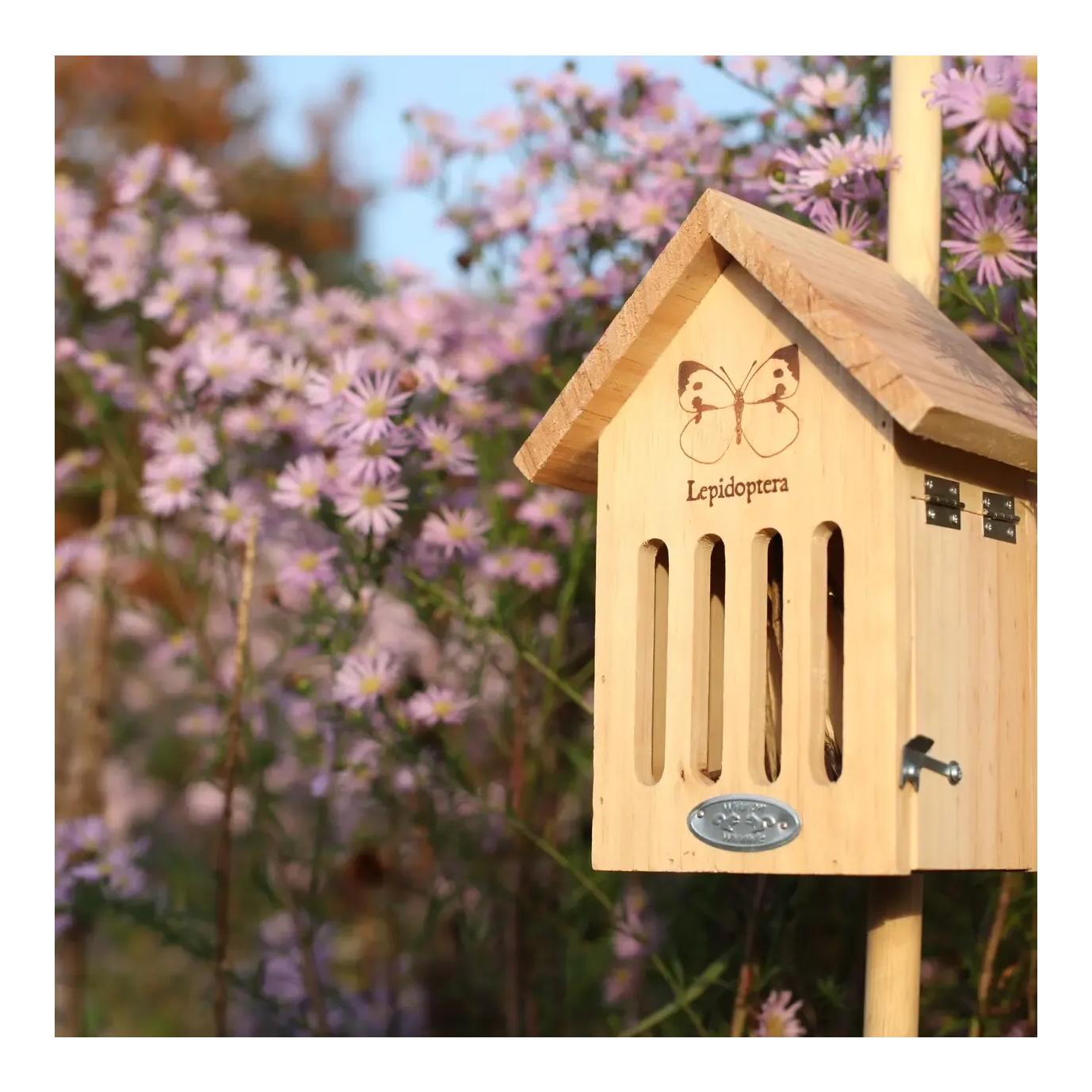 Schmetterlinghaus mit Silhouette