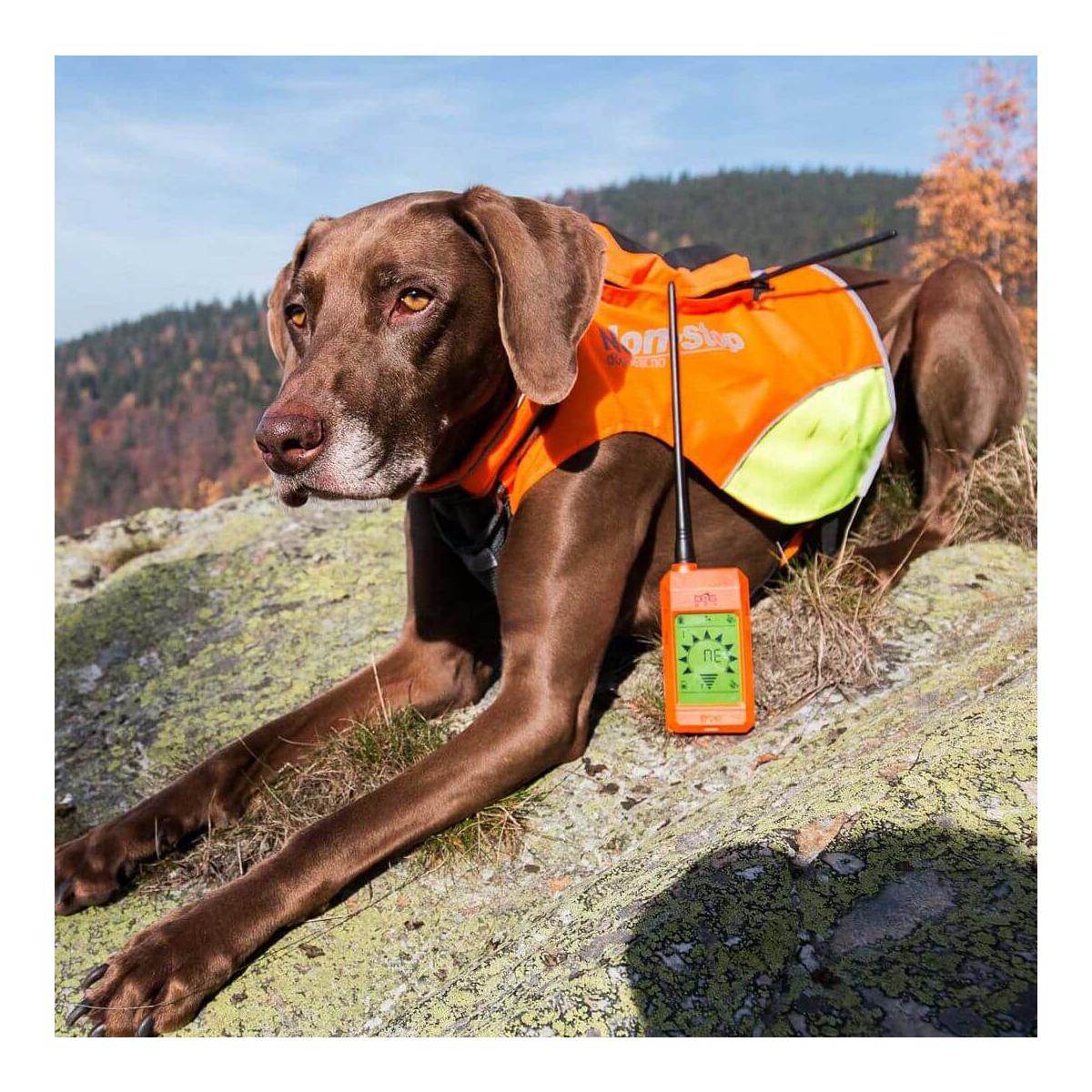 GPS X20 Hundeortungsgerät