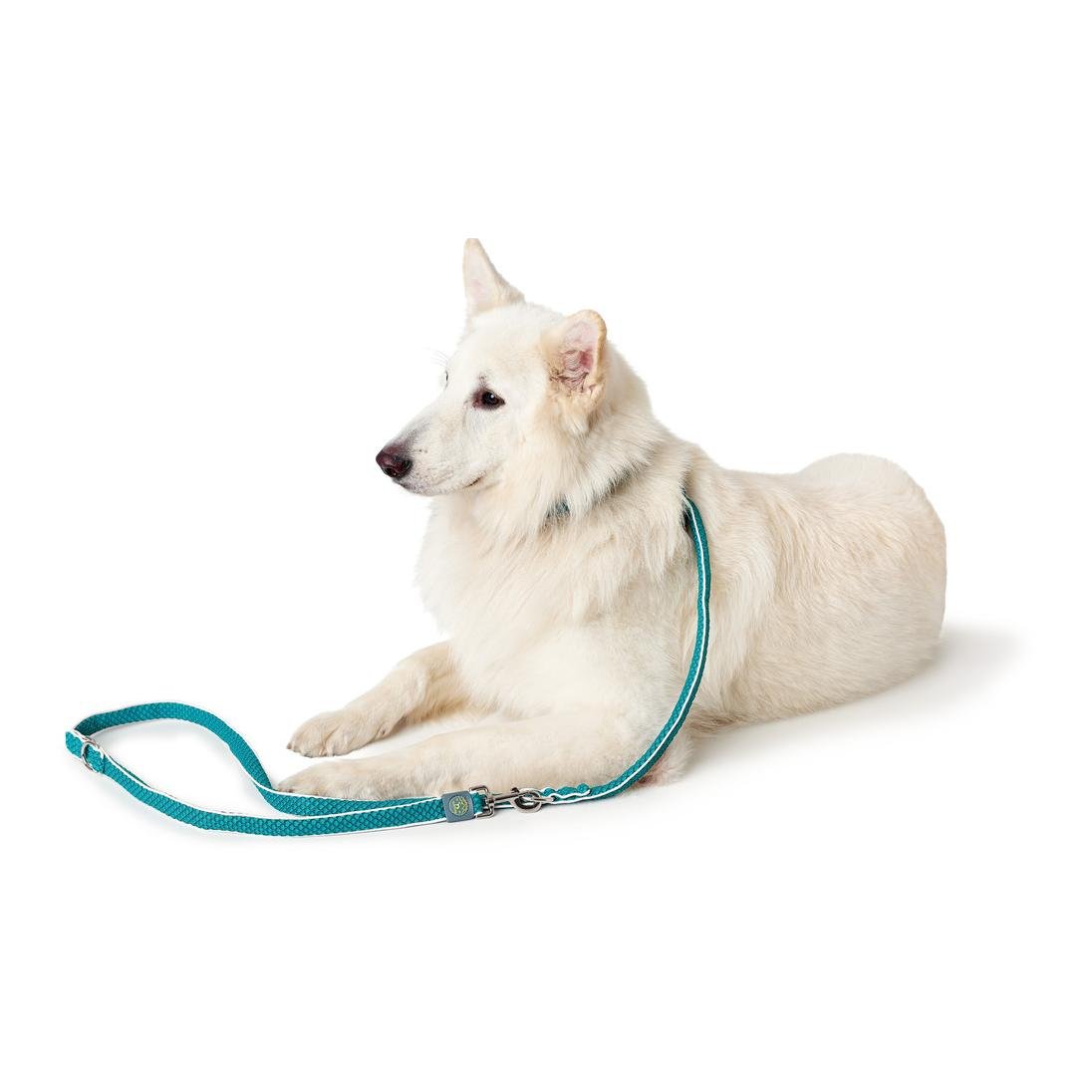 Verstellbare Führleine Hilo - türkis