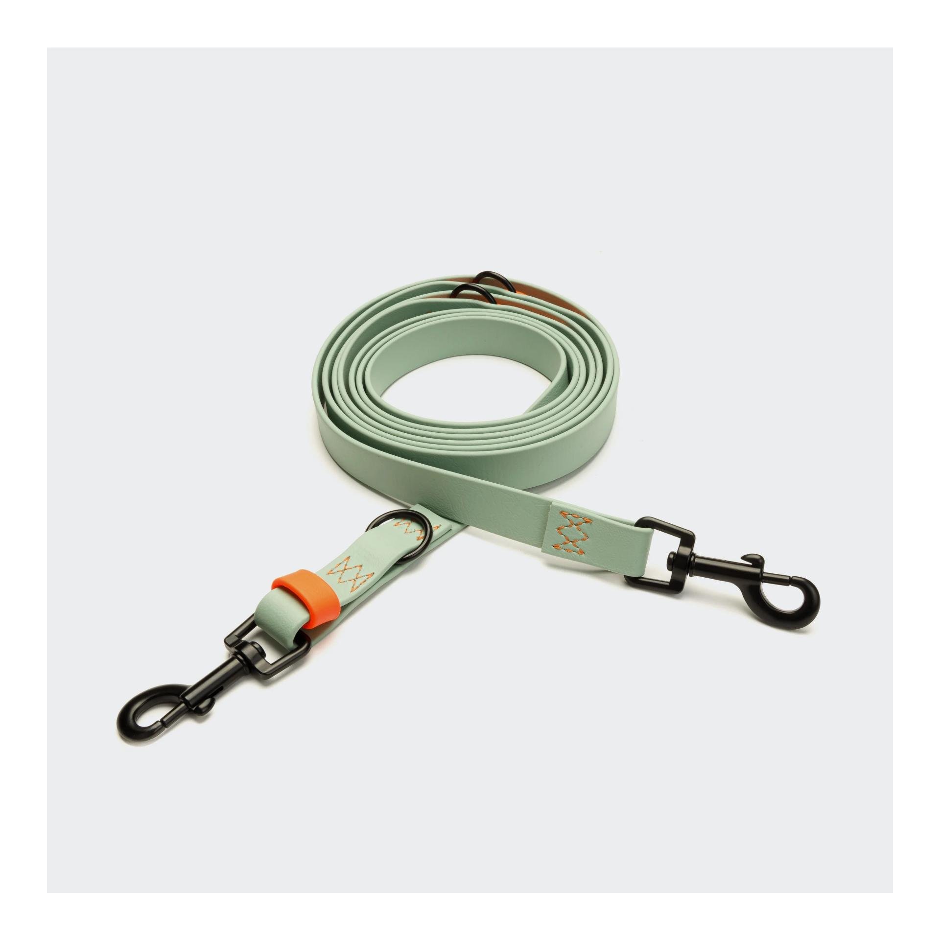 Hundeleine verstellbar BioThane Ipanema