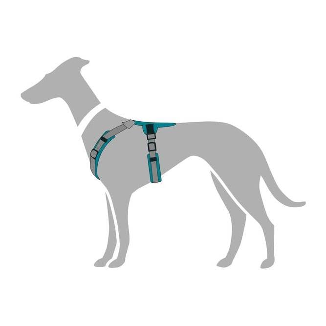 Geschirr Maldon - orange/grau