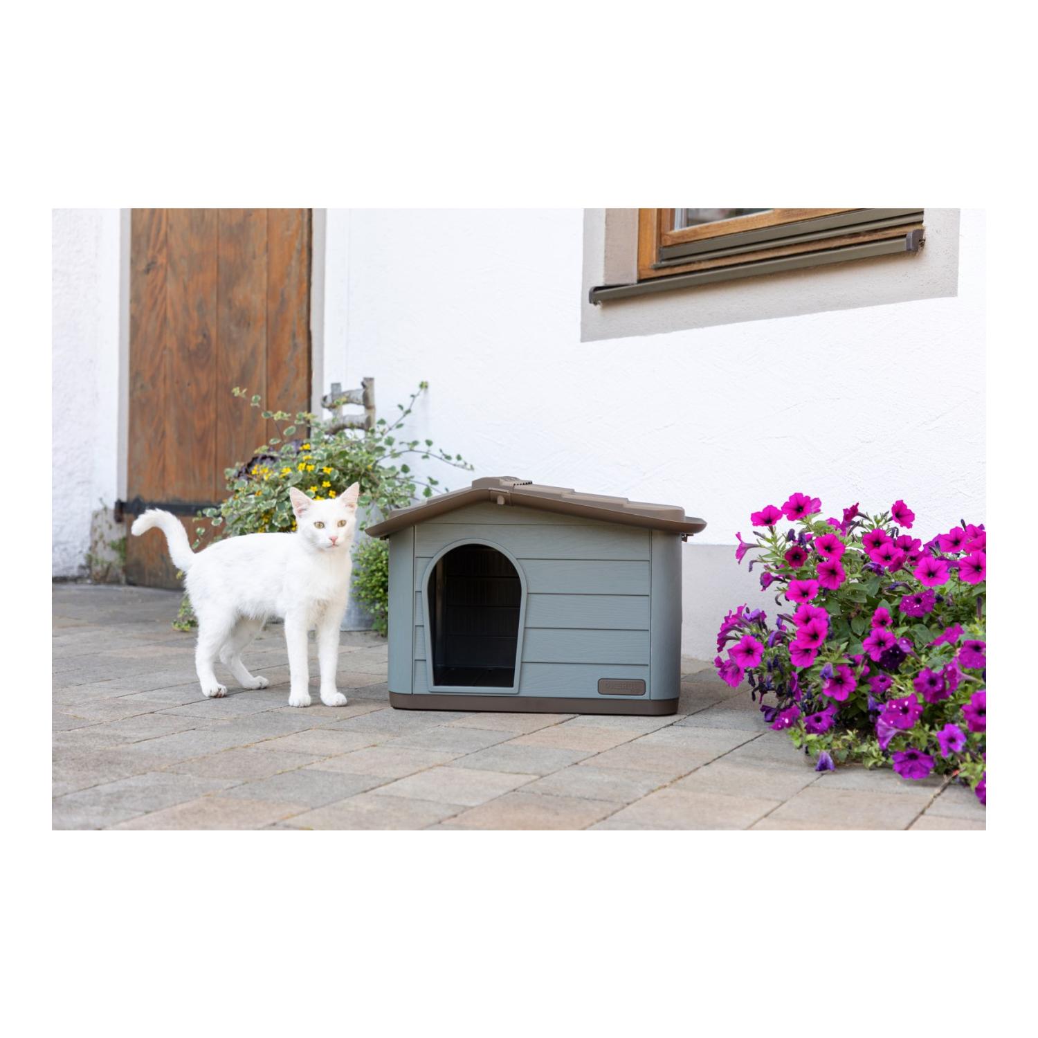 Maison pour chat Paola Eco