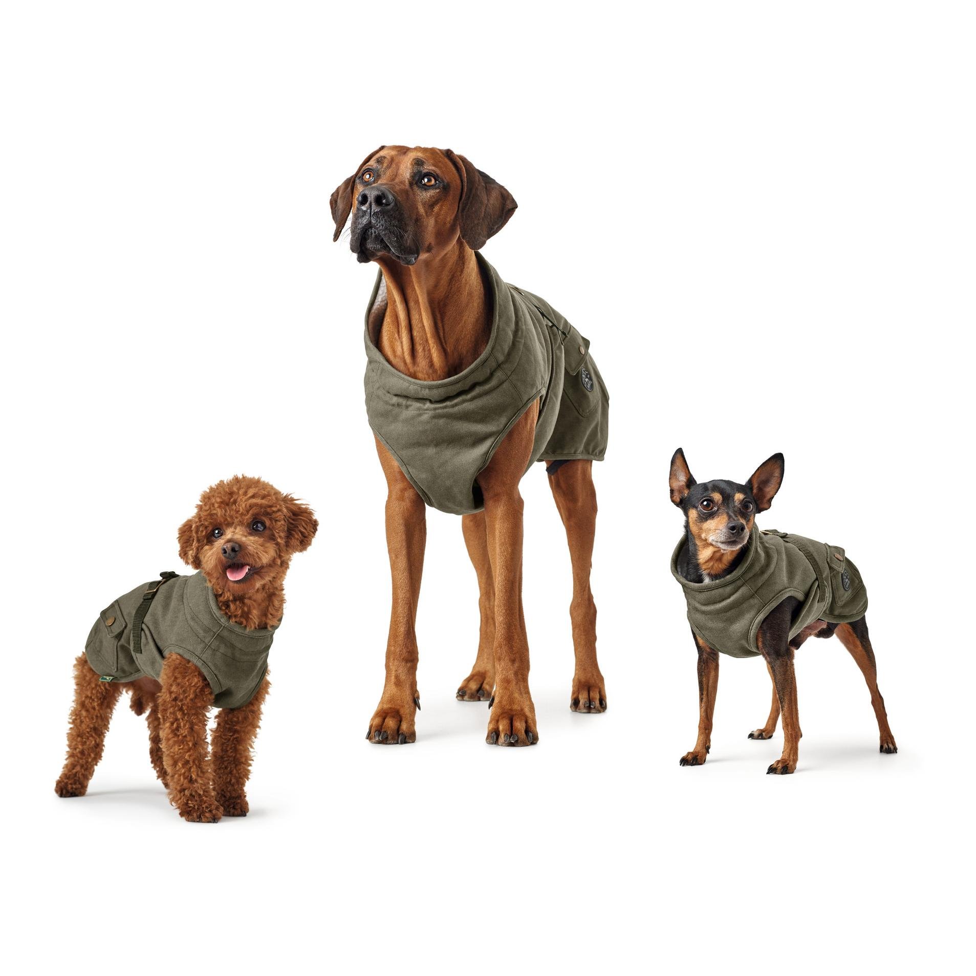 Hundemantel Uppsala Trend - khaki